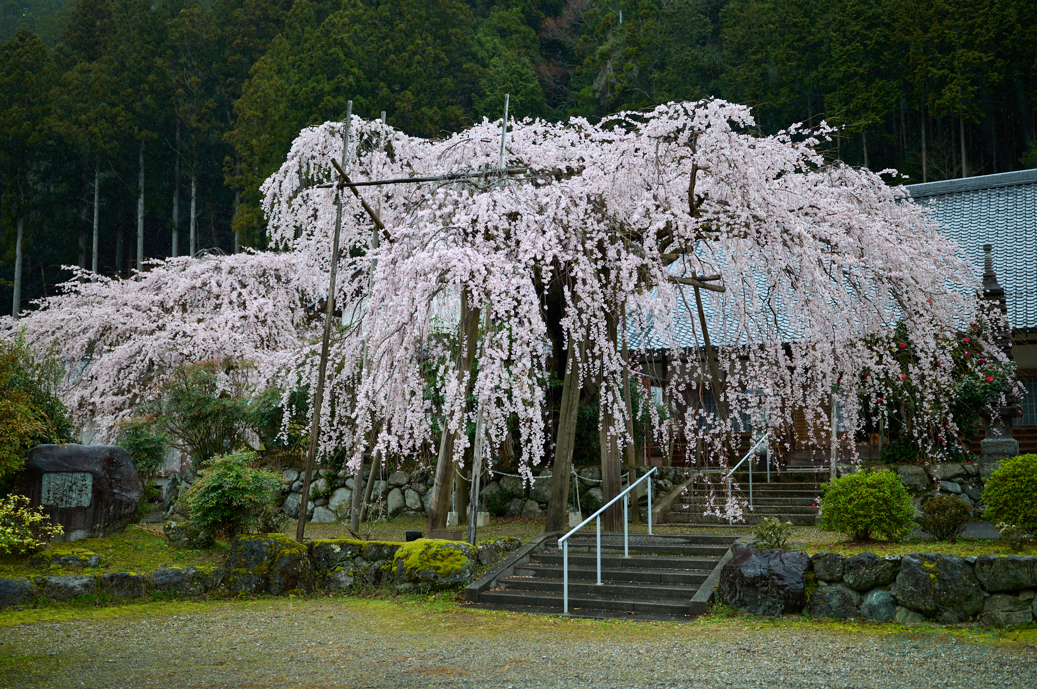 https://www.yaotomi.co.jp/blog/walk/SDIM6814co%2C35%20mm%2CF1.4%2Ciso160%28DNG%29.jpg