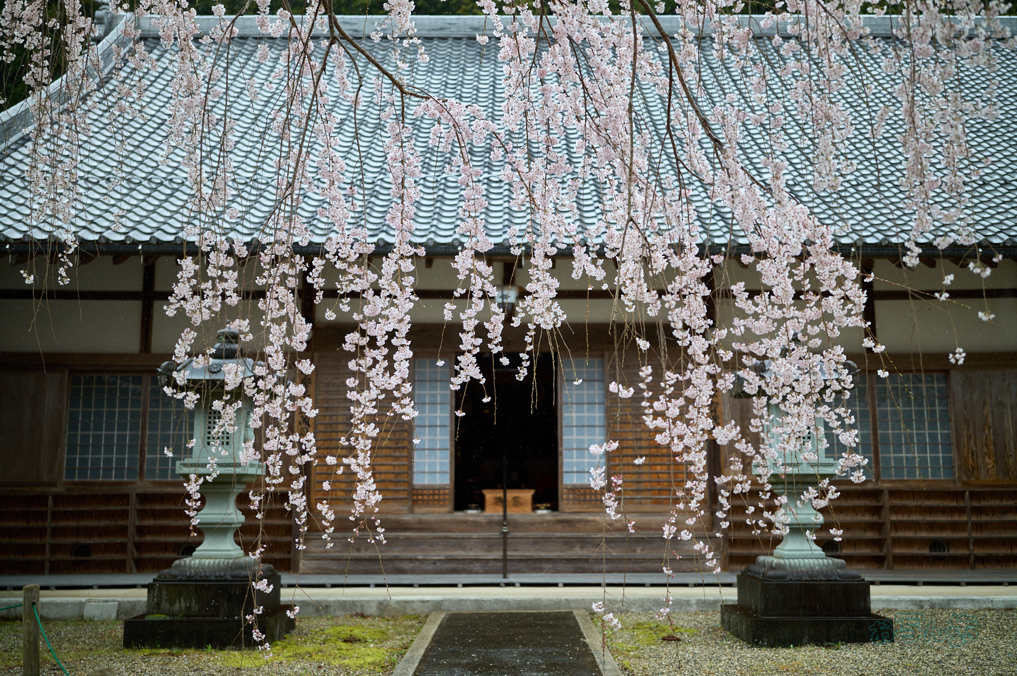 https://www.yaotomi.co.jp/blog/walk/SDIM6838co%2C35%20mm%2CF1.4%2Ciso800%28DNG%29.jpg