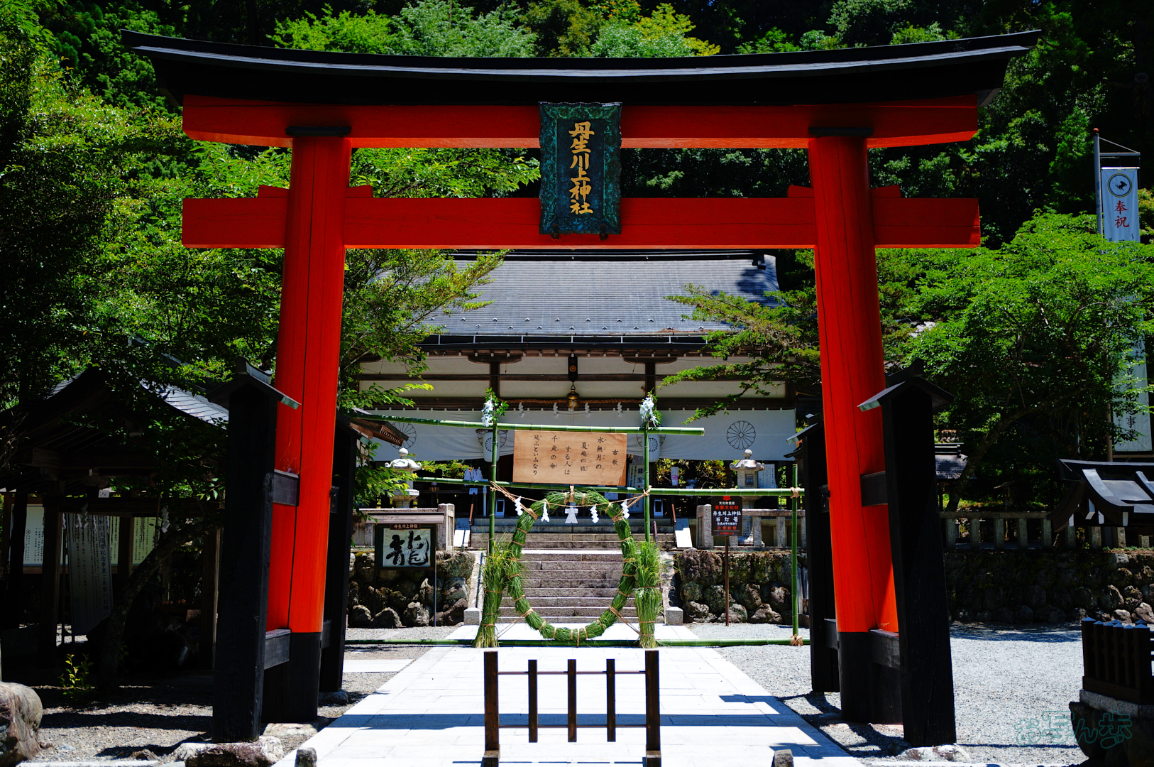 https://www.yaotomi.co.jp/blog/walk/SDIM6840%2C27%20mm%2CF1.8%2C1-4000%20%E7%A7%92%2Ciso100%28JPEG%29%201.jpg