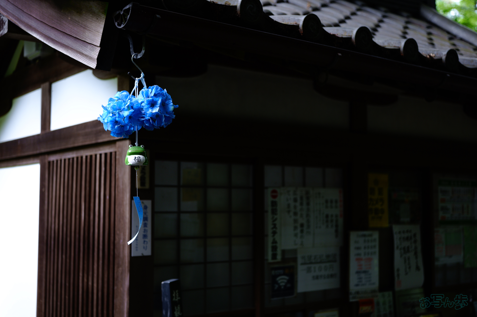 https://www.yaotomi.co.jp/blog/walk/SDIM6899%2C31%20mm%2CF1.8%2C1-80%20%E7%A7%92%2Ciso100%28JPEG%29.jpg