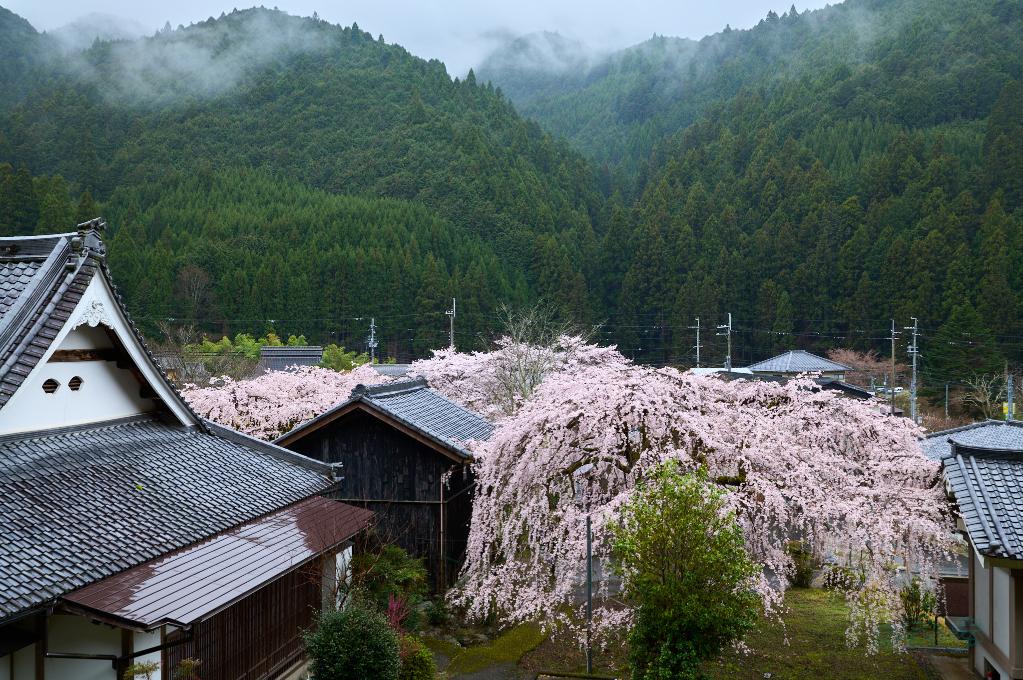 https://www.yaotomi.co.jp/blog/walk/SDIM6923co%2C35%20mm%2CF8%2Ciso160%28DNG%29.jpg