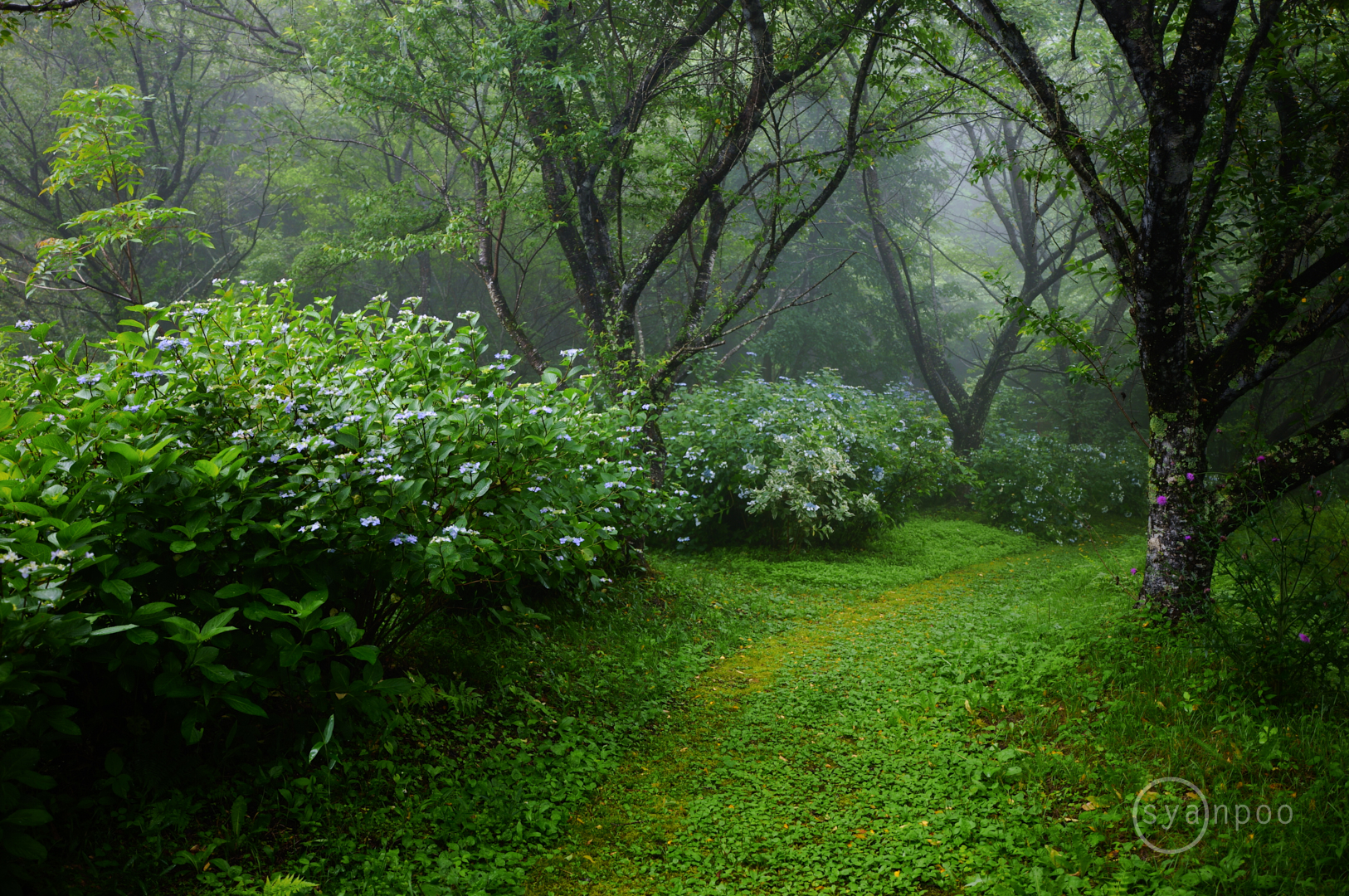 https://www.yaotomi.co.jp/blog/walk/SDIM6954%2C24%20mm%2CF2.8%2Ciso100%28JPEG%29.jpg