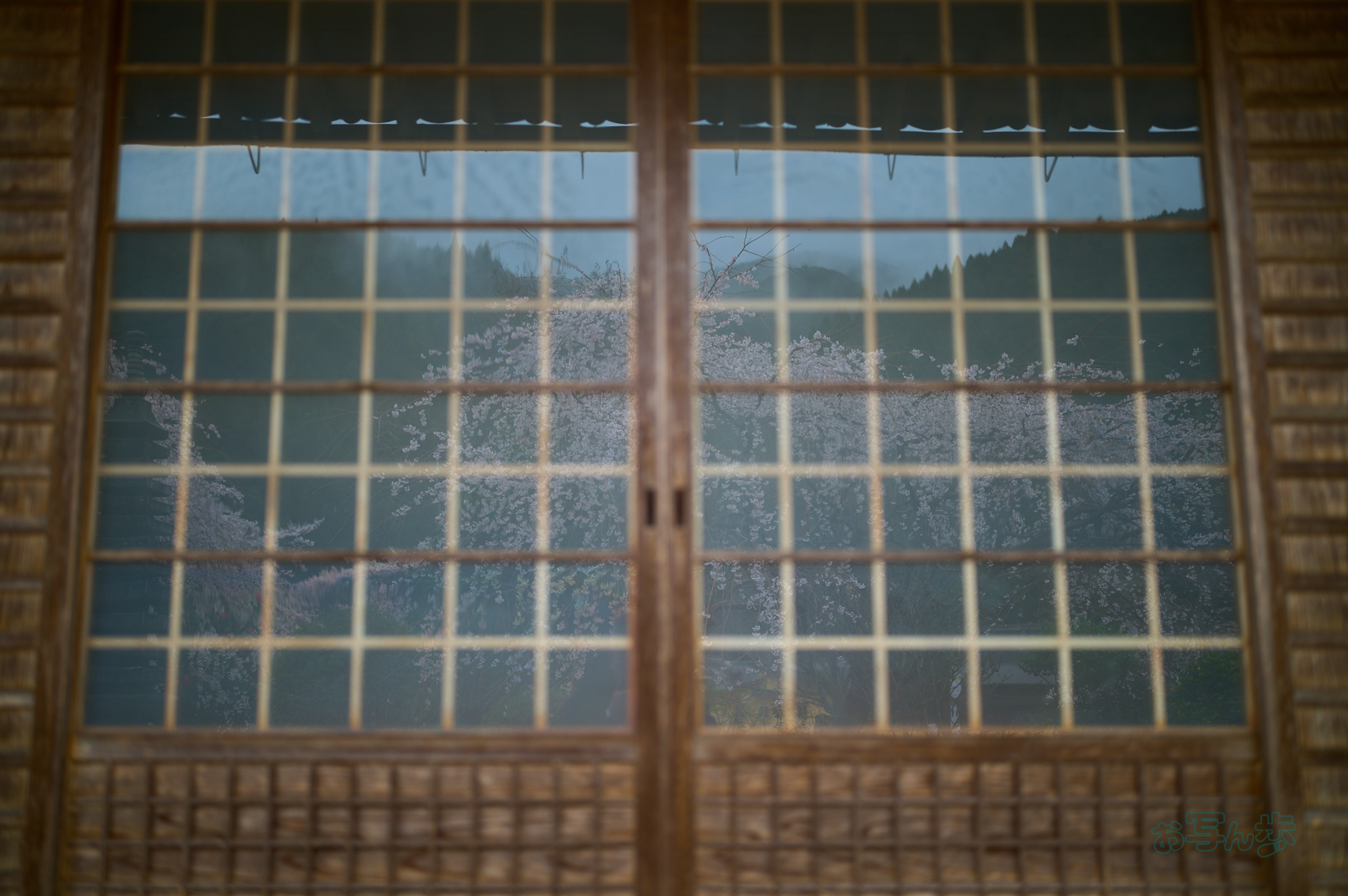 https://www.yaotomi.co.jp/blog/walk/SDIM6995co%2C35%20mm%2CF1.4%2Ciso100%28DNG%29.jpg