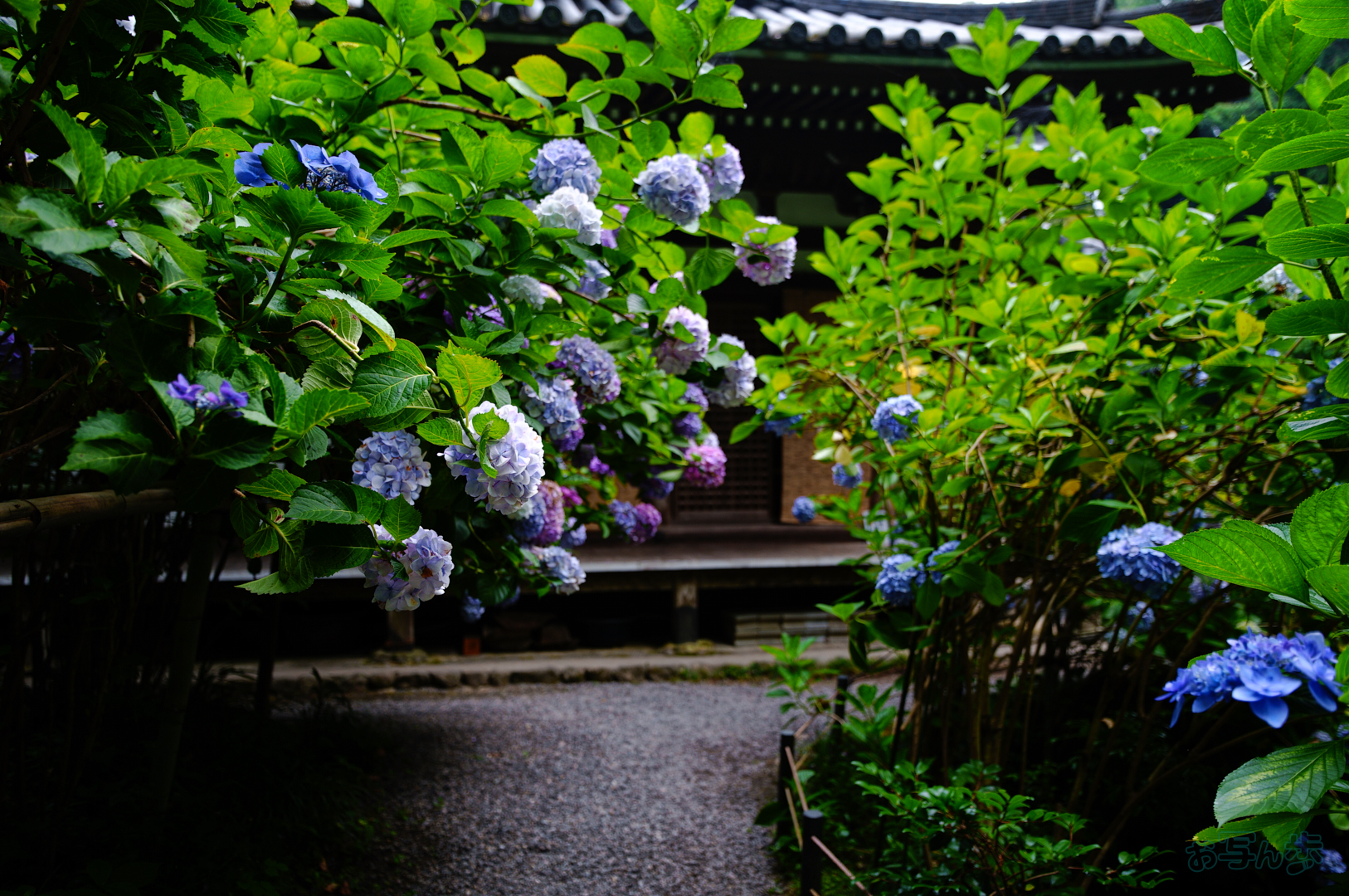https://www.yaotomi.co.jp/blog/walk/SDIM7010%2C17%20mm%2CF1.8%2C1-500%20%E7%A7%92%2Ciso100%28JPEG%29.jpg