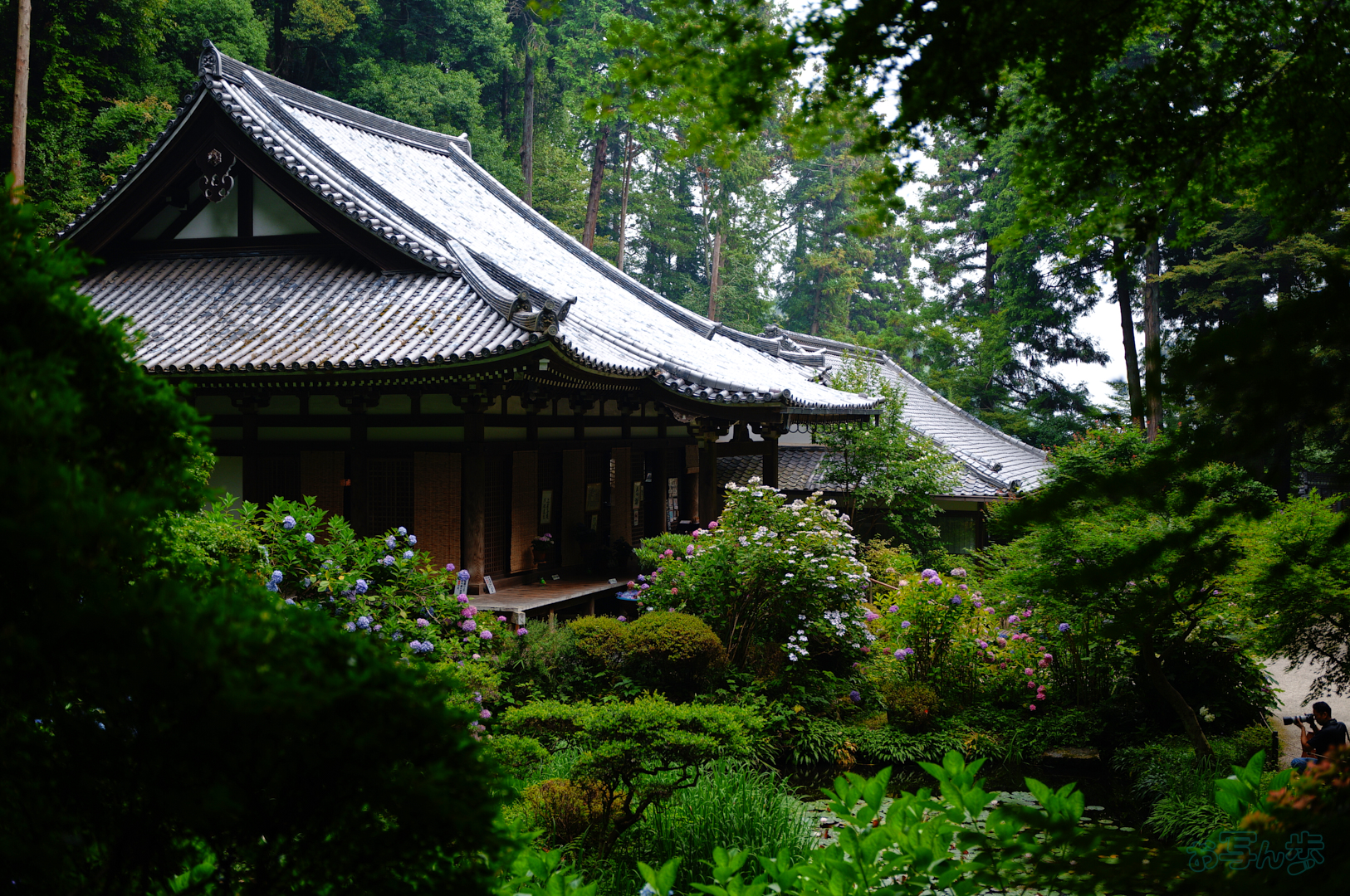 https://www.yaotomi.co.jp/blog/walk/SDIM7028%2C28%20mm%2CF1.8%2C1-800%20%E7%A7%92%2Ciso100%28JPEG%29.jpg