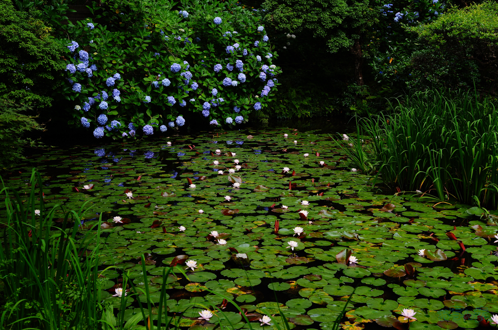 https://www.yaotomi.co.jp/blog/walk/SDIM7124%2C30%20mm%2CF6.3%2C1-80%20%E7%A7%92%2Ciso100%28JPEG%29.jpg