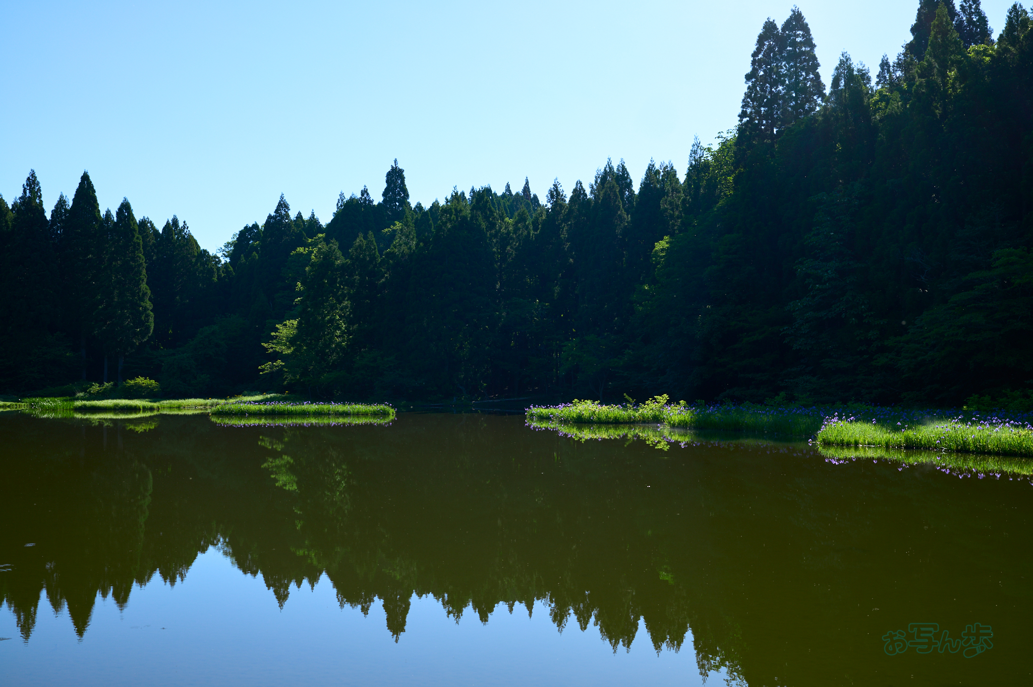 https://www.yaotomi.co.jp/blog/walk/SDIM7146co%2C35%20mm%2CF6.3%2Ciso100%28DNG%29.jpg