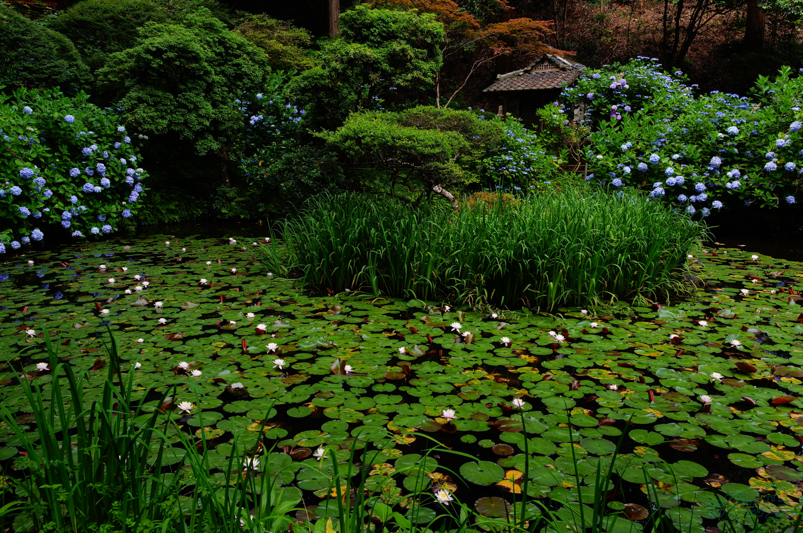https://www.yaotomi.co.jp/blog/walk/SDIM7148%2C17%20mm%2CF6.3%2C1-80%20%E7%A7%92%2Ciso100%28JPEG%29.jpg