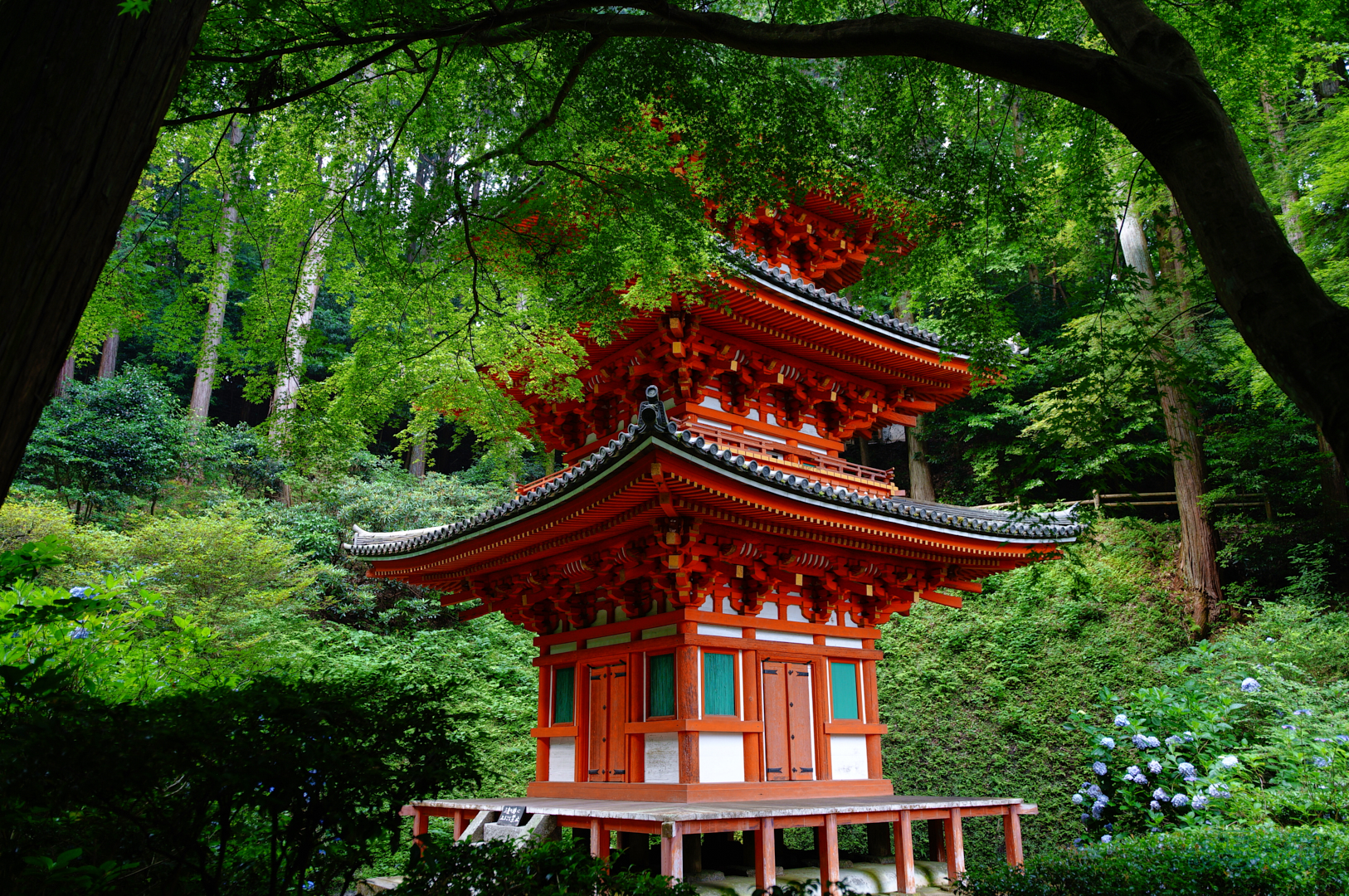 https://www.yaotomi.co.jp/blog/walk/SDIM7161%2C17%20mm%2CF1.8%2C1-160%20%E7%A7%92%2Ciso100%28JPEG%29.jpg