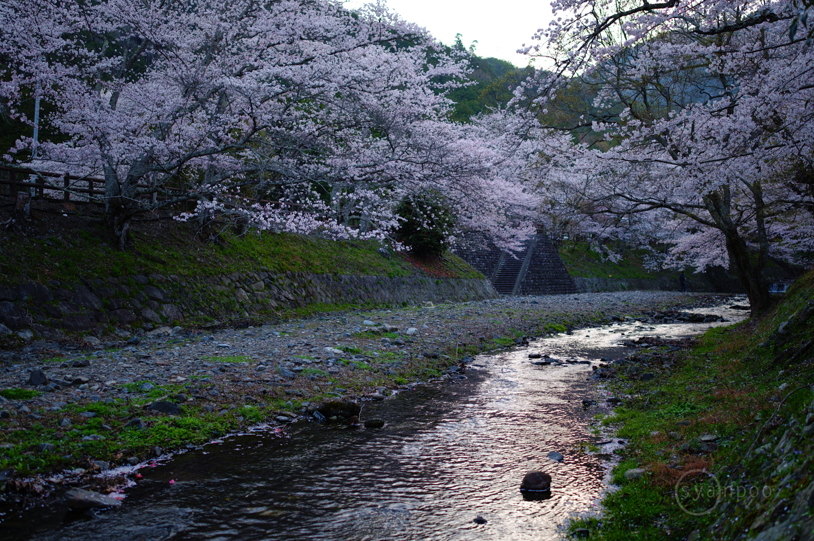 https://www.yaotomi.co.jp/blog/walk/SDIM7190%2C23%20mm%2CF1.4%2Ciso100%28JPEG%29.jpg