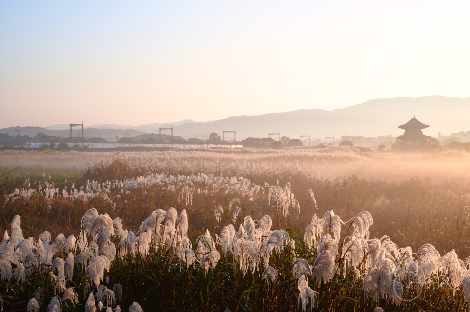 https://www.yaotomi.co.jp/blog/walk/SDIM7423%2C37%20mm%2CF10%2Ciso100%28JPEG%29.jpg