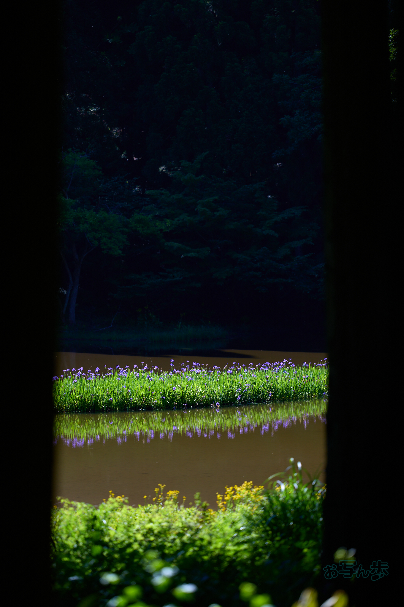 https://www.yaotomi.co.jp/blog/walk/SDIM7446co%2C200%20mm%2CF2%2Ciso100%28DNG%29.jpg