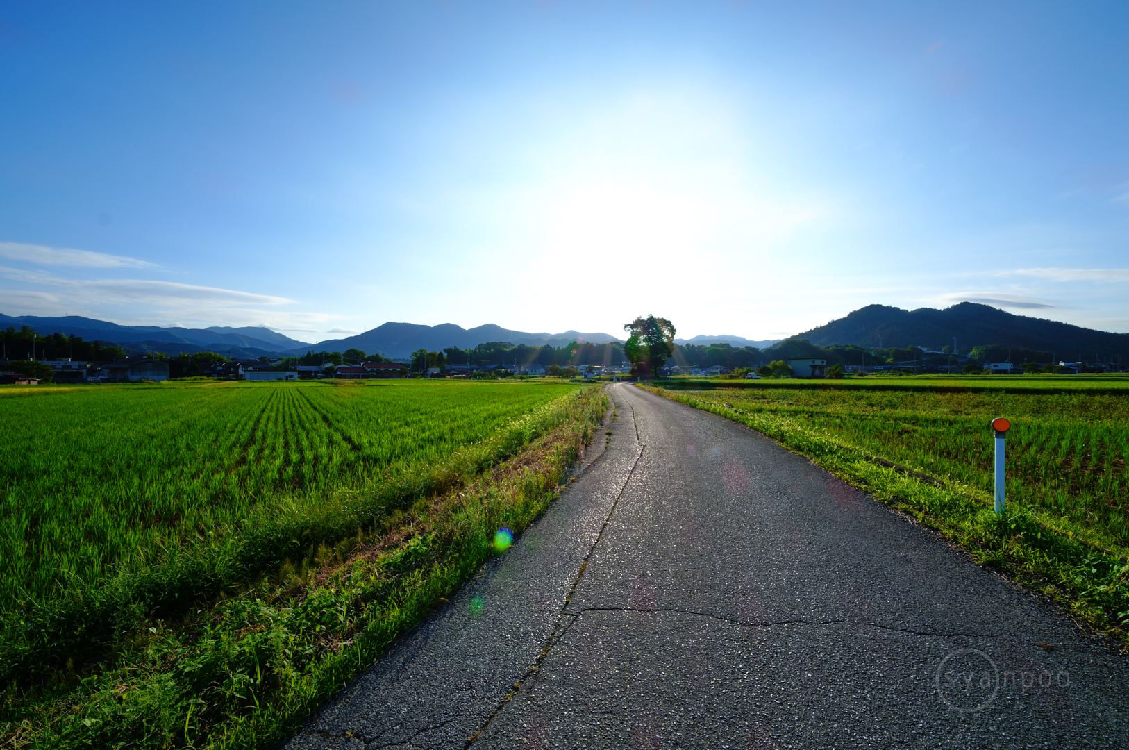 https://www.yaotomi.co.jp/blog/walk/SDIM7546%2C14%20mm%2CF20%2Ciso100%28JPEG%29.jpg