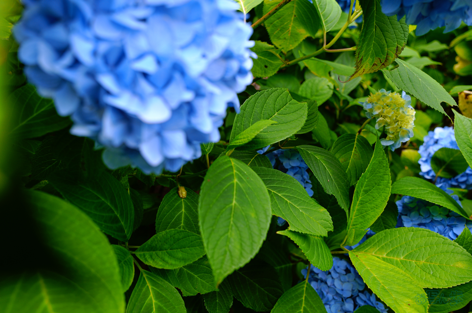 https://www.yaotomi.co.jp/blog/walk/SDIM7722%2C17%20mm%2CF3.2%2C1-320%20%E7%A7%92%2Ciso100%28JPEG%29.jpg