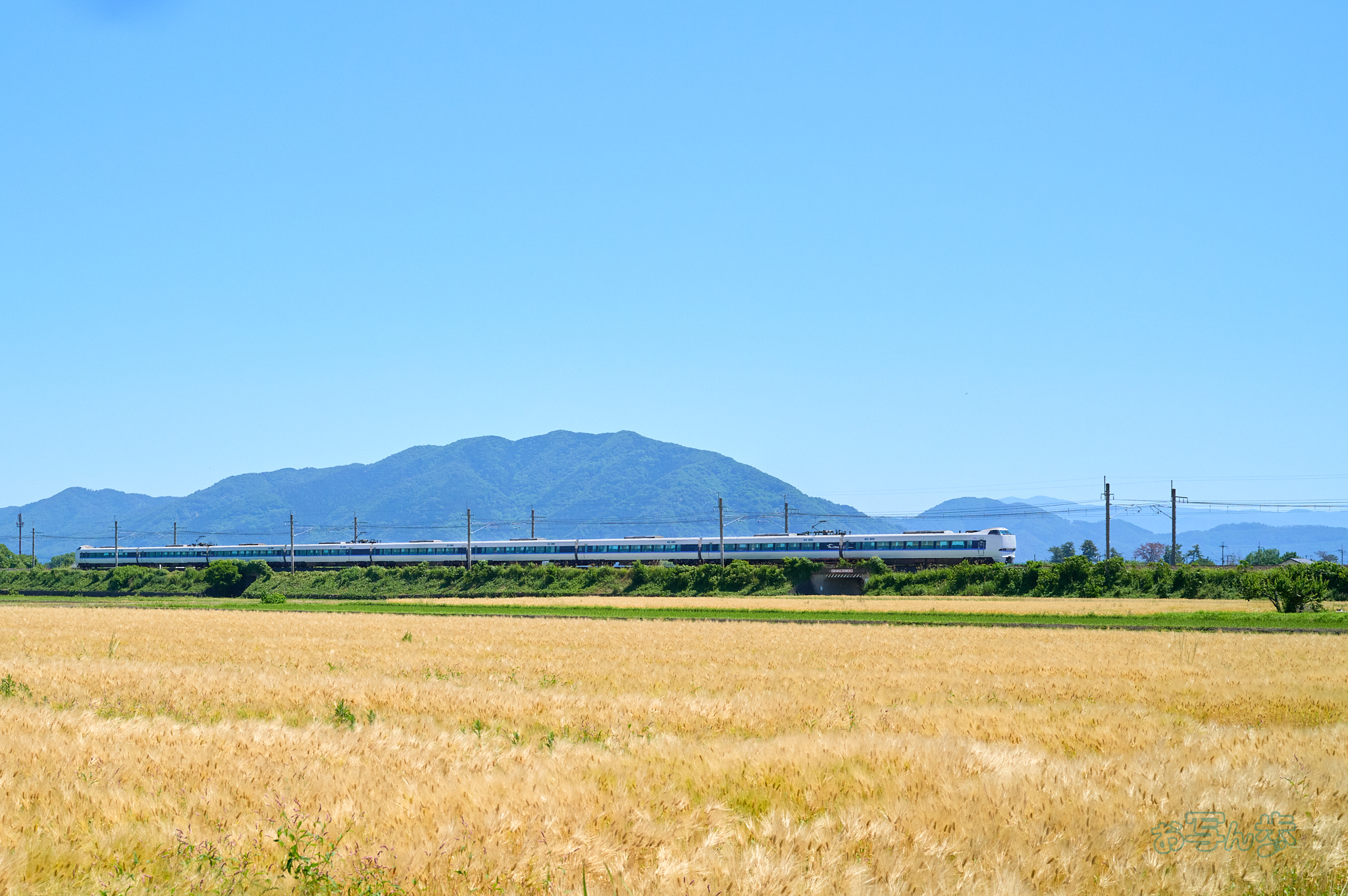 https://www.yaotomi.co.jp/blog/walk/SDIM7737co%2C35%20mm%2CF5.6%2Ciso800%28DNG%29.jpg