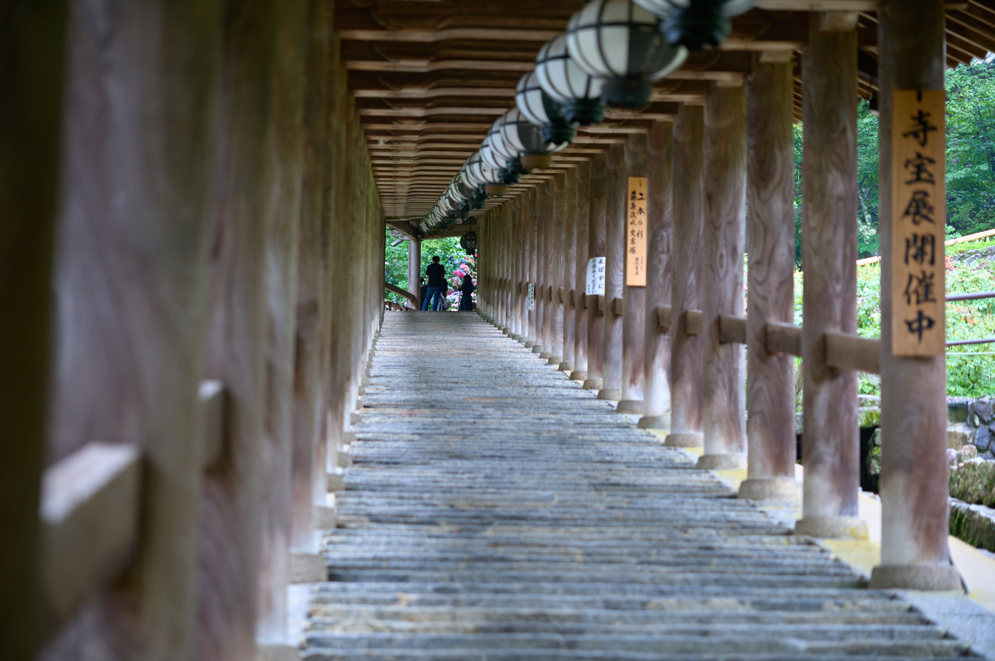 https://www.yaotomi.co.jp/blog/walk/SDIM7761co%2C105%20mm%2CF2.8%2Ciso500%2CSIGMA%20fp%20L.jpg