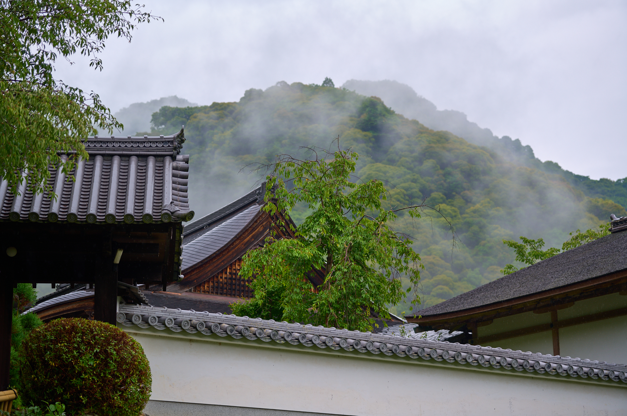 https://www.yaotomi.co.jp/blog/walk/SDIM7769co%2C83%20mm%2CF2.8%2Ciso100%2CSIGMA%20fp%20L.jpg