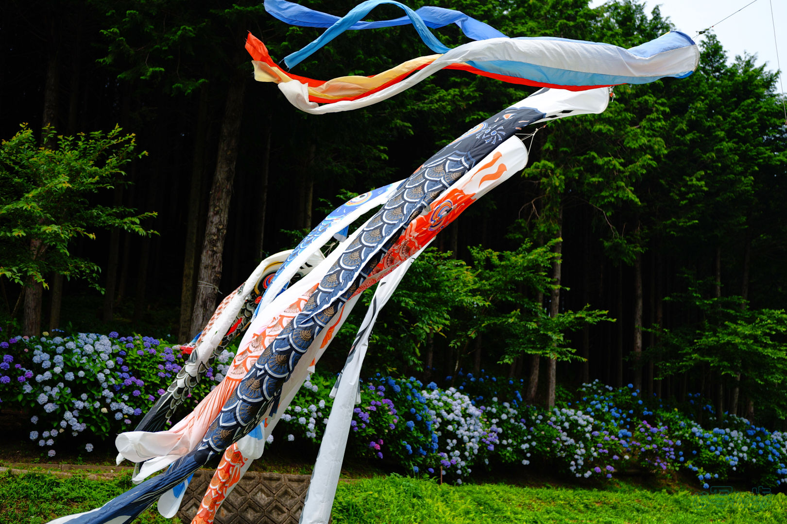 https://www.yaotomi.co.jp/blog/walk/SDIM7846%2C32%20mm%2CF1.8%2C1-3200%20%E7%A7%92%2Ciso100%28JPEG%29.jpg