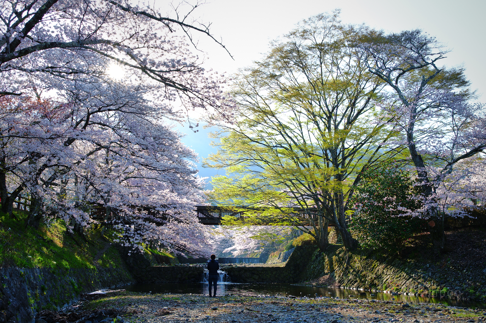 https://www.yaotomi.co.jp/blog/walk/SDIM7877%2C23%20mm%2CF5.6%2Ciso100%28JPEG%29.jpg