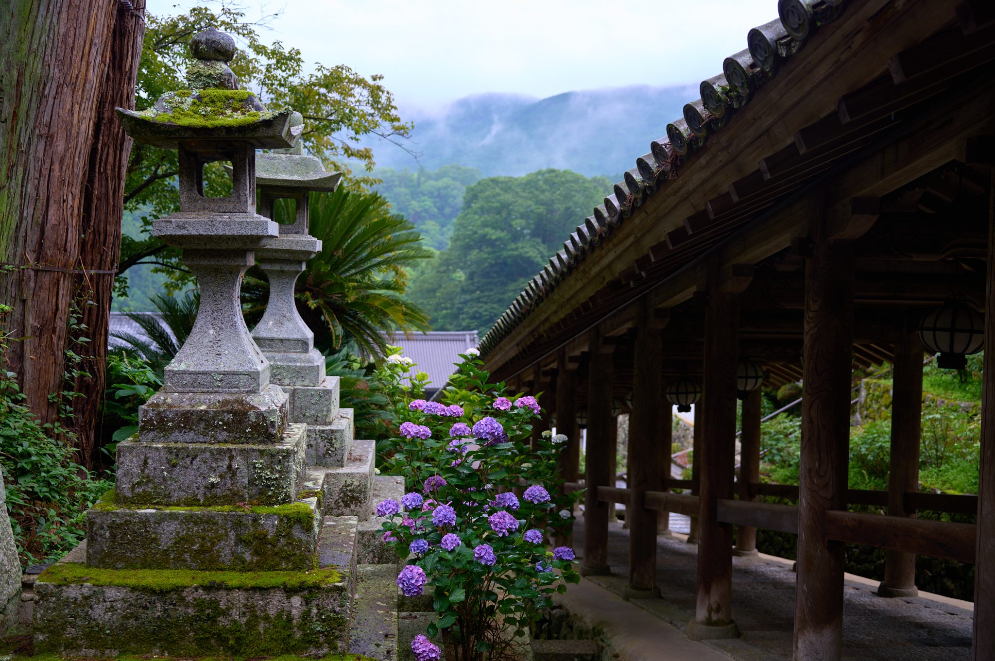 https://www.yaotomi.co.jp/blog/walk/SDIM7890co%2C40%20mm%2CF2.8%2Ciso100%2CSIGMA%20fp%20L.jpg