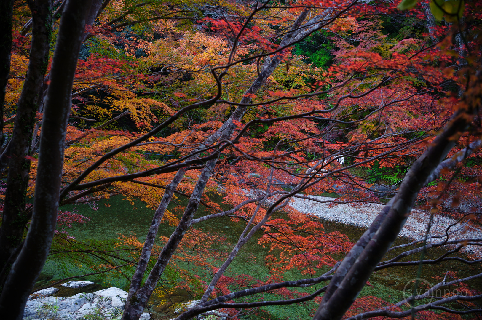 https://www.yaotomi.co.jp/blog/walk/SDIM7991%2C29%20mm%2CF2.8%2Ciso100%28JPEG%29.jpg