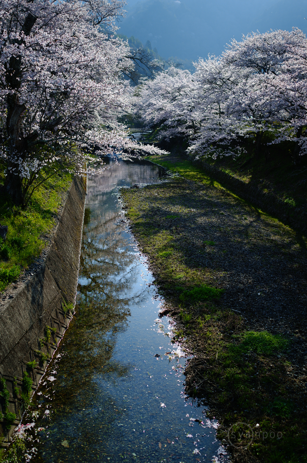 https://www.yaotomi.co.jp/blog/walk/SDIM8003%2C23%20mm%2CF1.4%2Ciso100%28JPEG%29.jpg