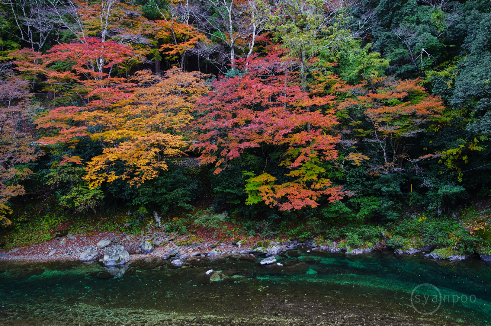 https://www.yaotomi.co.jp/blog/walk/SDIM8012%2C18%20mm%2CF8%2Ciso160%28JPEG%29.jpg