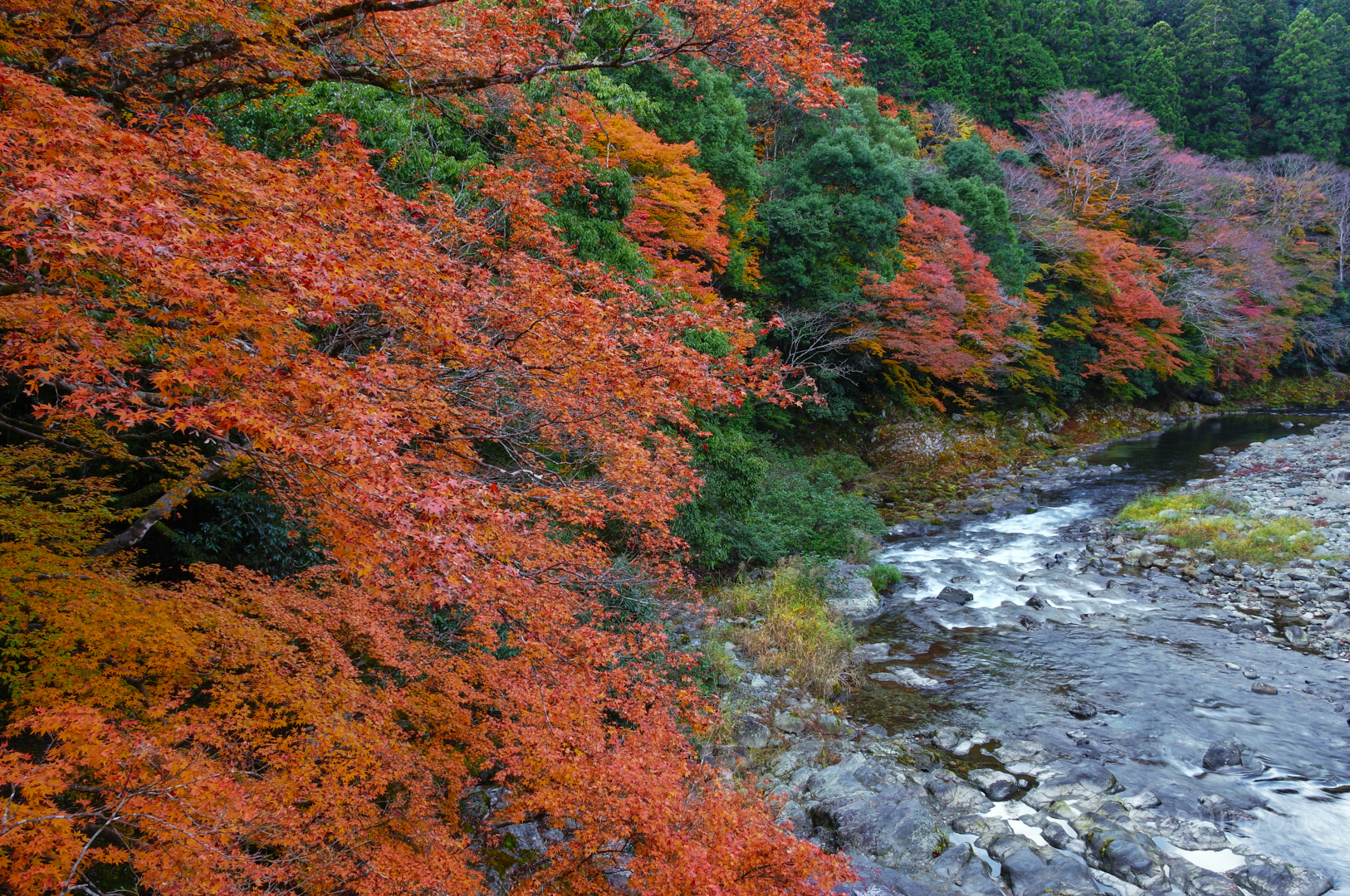 https://www.yaotomi.co.jp/blog/walk/SDIM8048%2C18%20mm%2CF22%2Ciso100%28JPEG%29.jpg