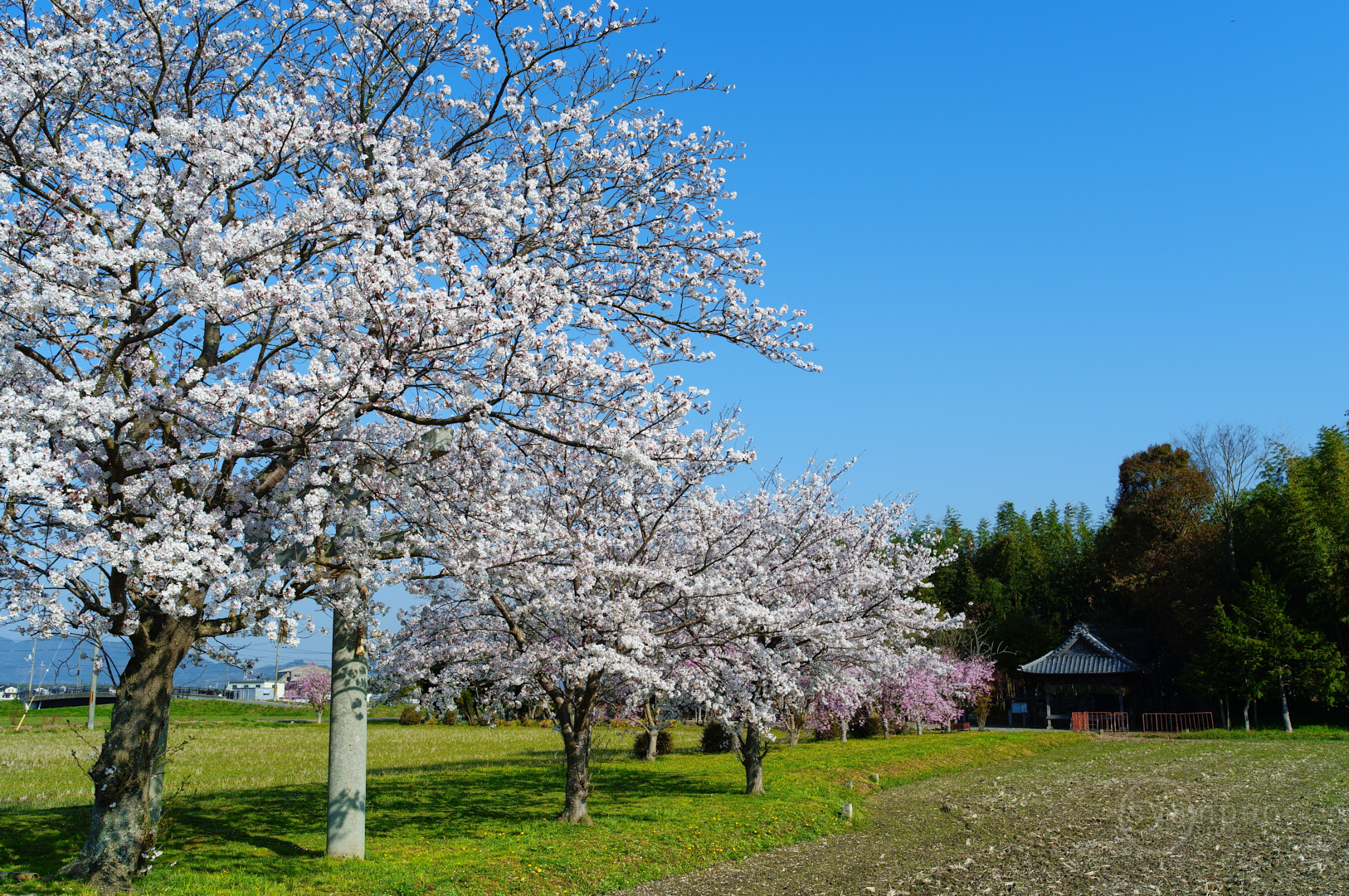 https://www.yaotomi.co.jp/blog/walk/SDIM8051%2C23%20mm%2CF7.1%2Ciso100%28JPEG%29.jpg