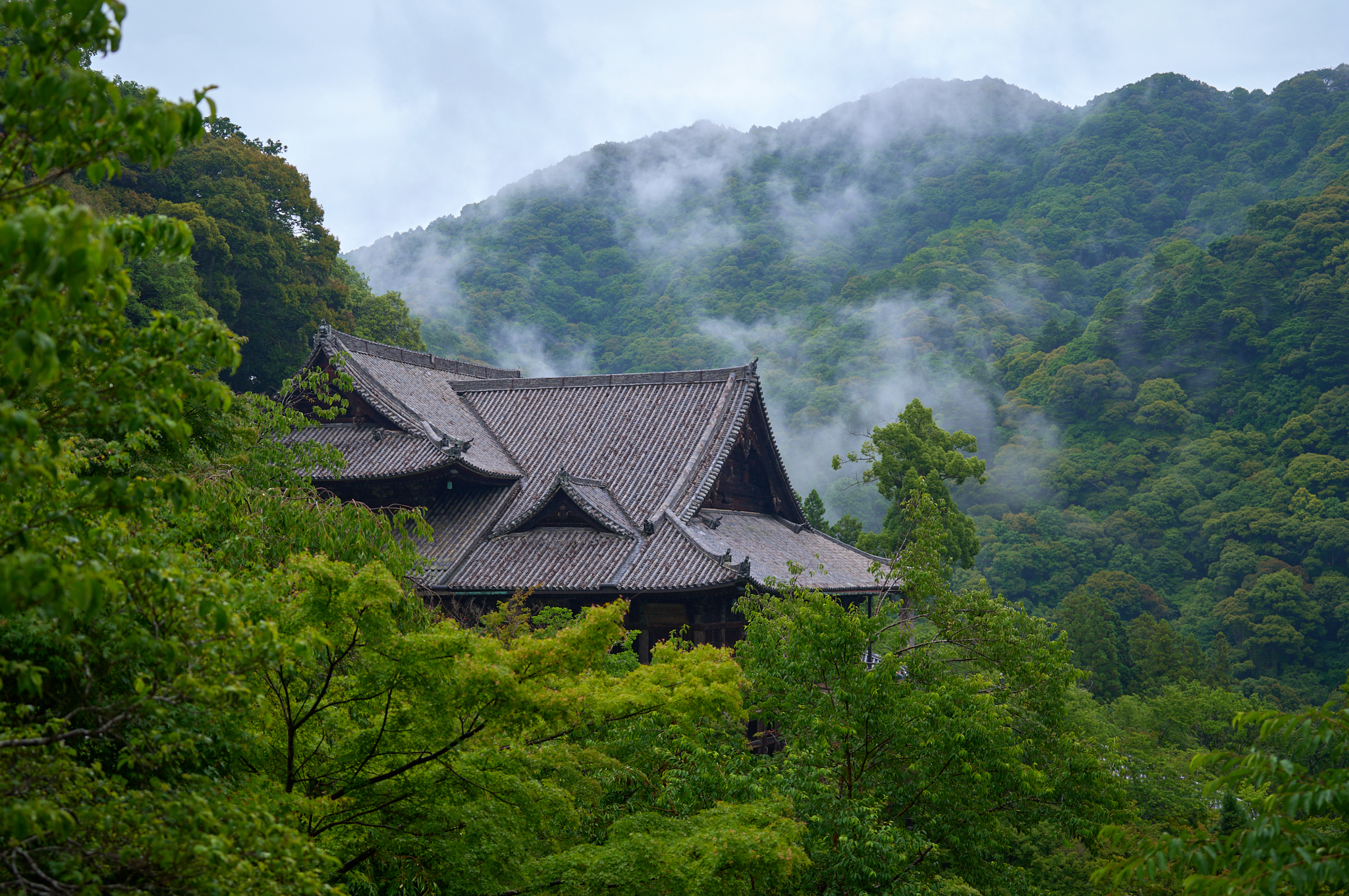 https://www.yaotomi.co.jp/blog/walk/SDIM8058co%2C39%20mm%2CF2.8%2Ciso100%2CSIGMA%20fp%20L.jpg