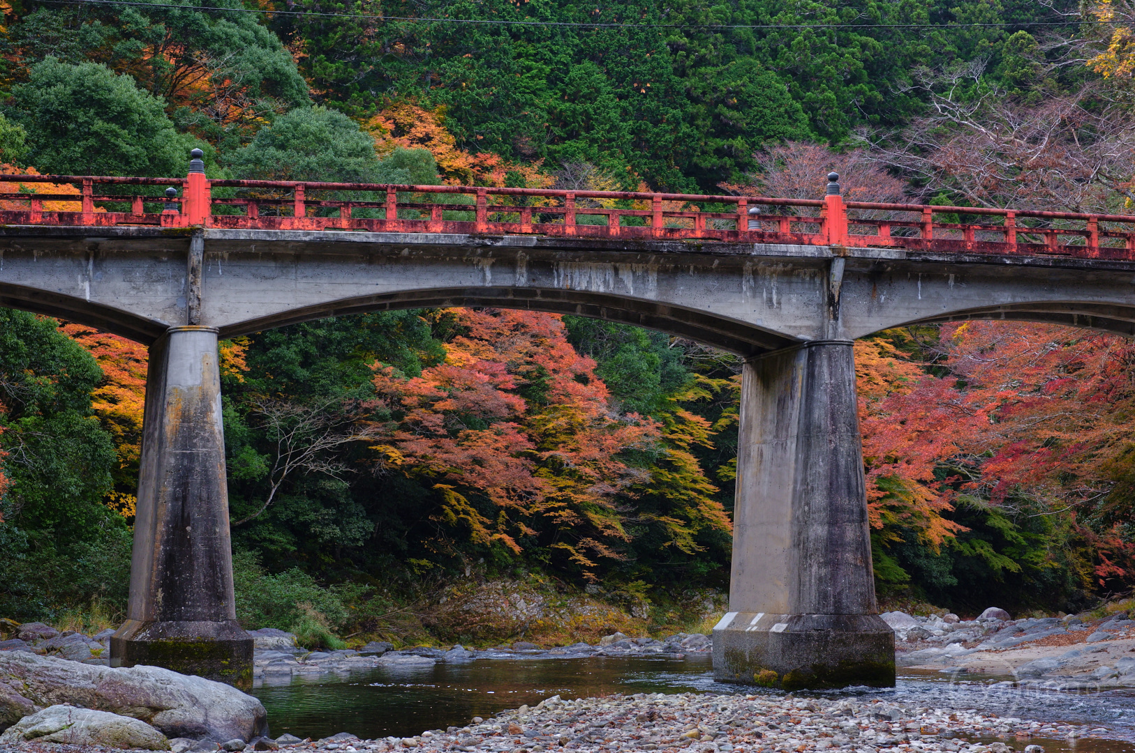 https://www.yaotomi.co.jp/blog/walk/SDIM8064%2C50%20mm%2CF9%2Ciso250%28JPEG%29.jpg