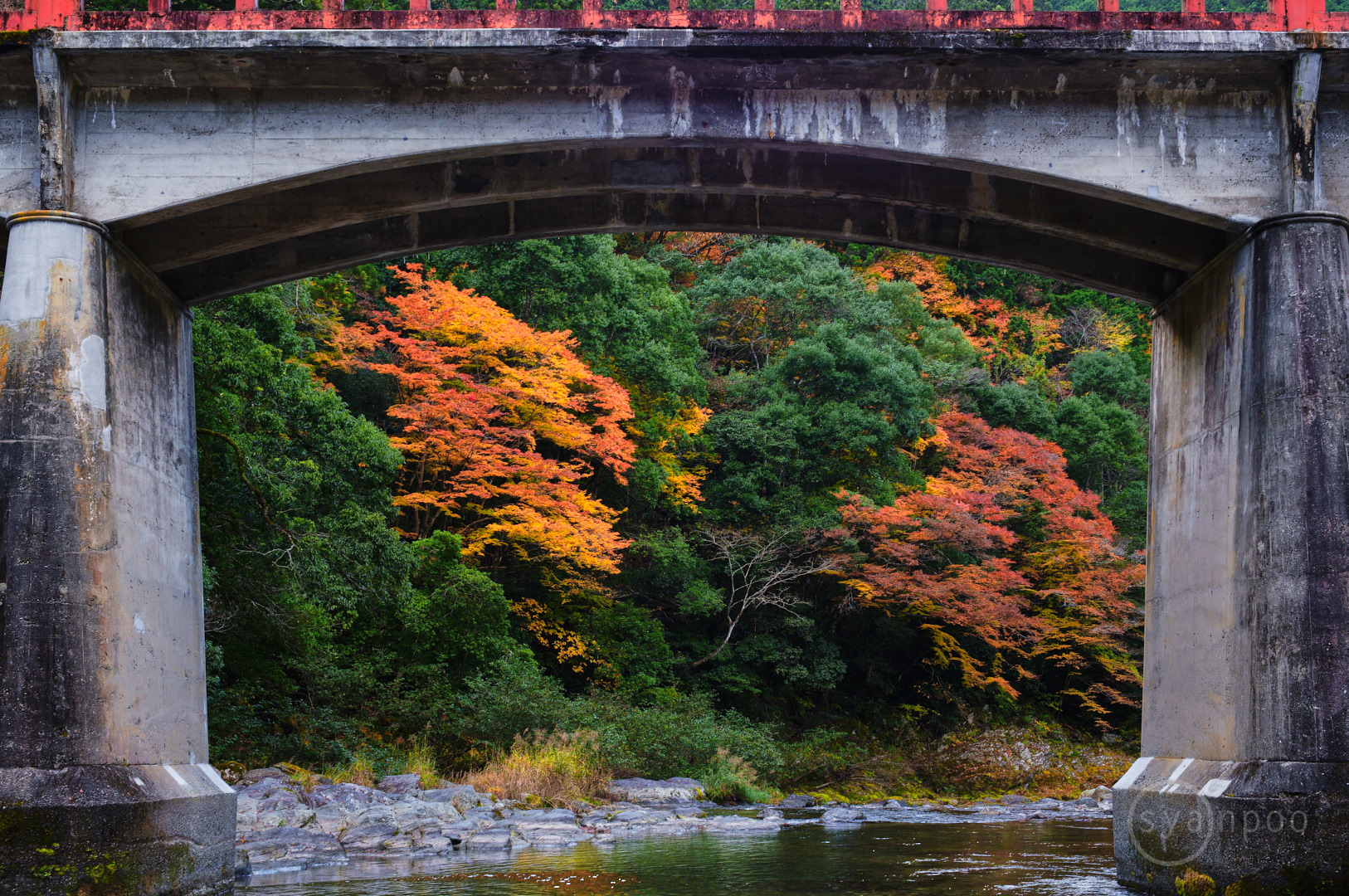 https://www.yaotomi.co.jp/blog/walk/SDIM8078%2C32%20mm%2CF9%2Ciso160%28JPEG%29.jpg