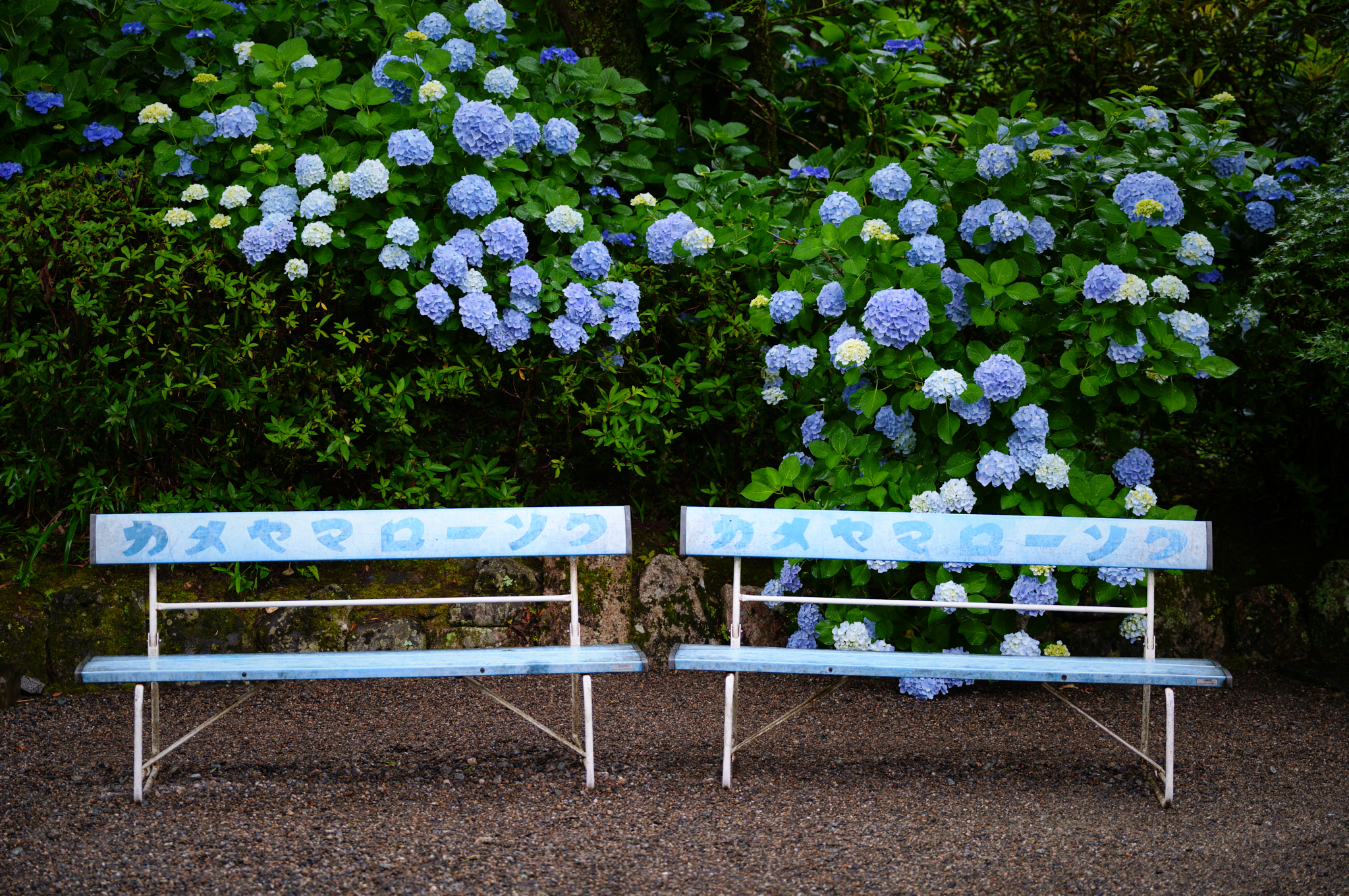 https://www.yaotomi.co.jp/blog/walk/SDIM8261co%2C58%20mm%2CF2.8%2Ciso100%2CSIGMA%20fp%20L.jpg
