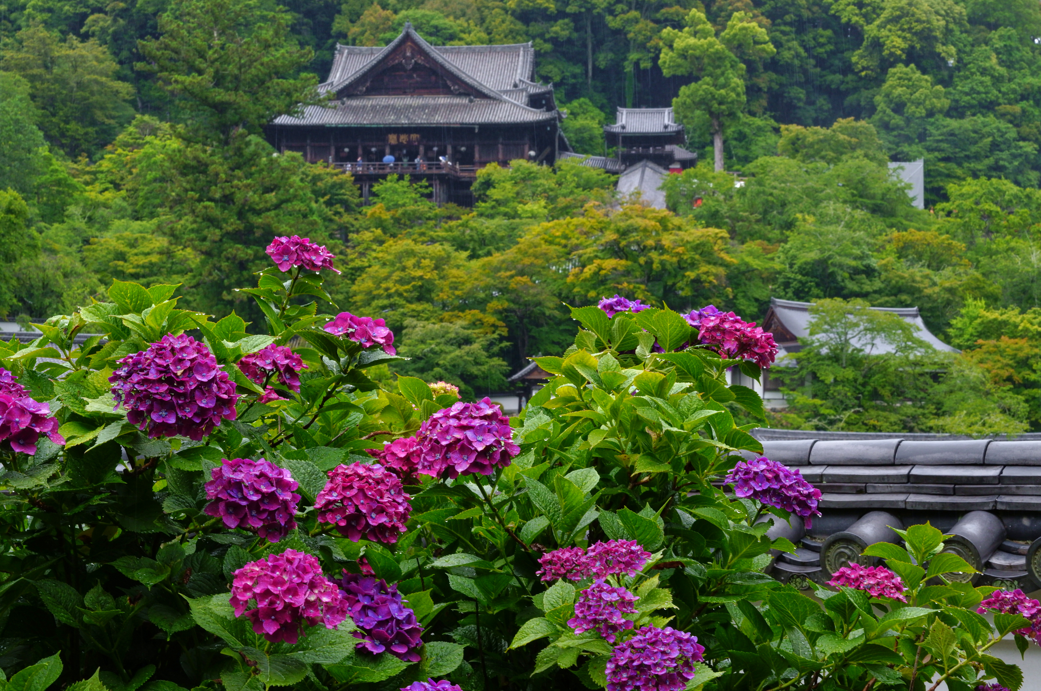 https://www.yaotomi.co.jp/blog/walk/SDIM8345co%2C68%20mm%2CF20%2Ciso800%2CSIGMA%20fp%20L.jpg