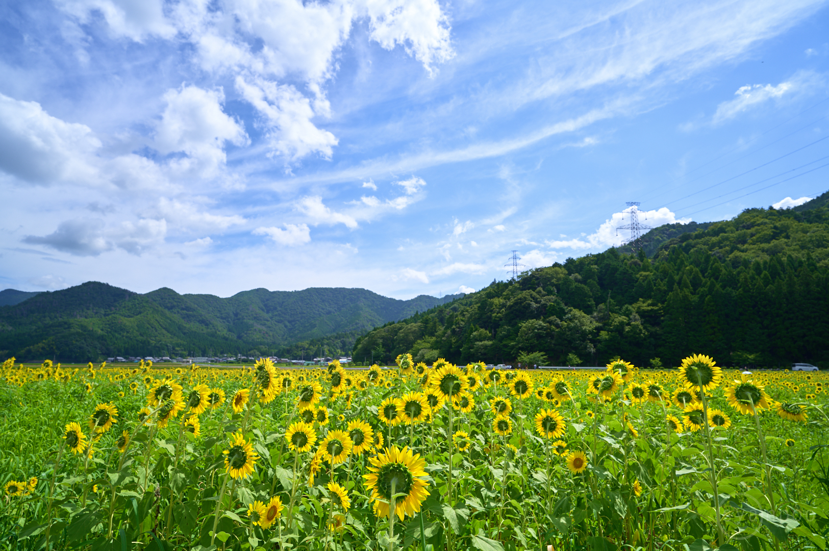 https://www.yaotomi.co.jp/blog/walk/SDIM8462%2C20%20mm%2CF7.1%2Ciso100%28DNG%29.jpg