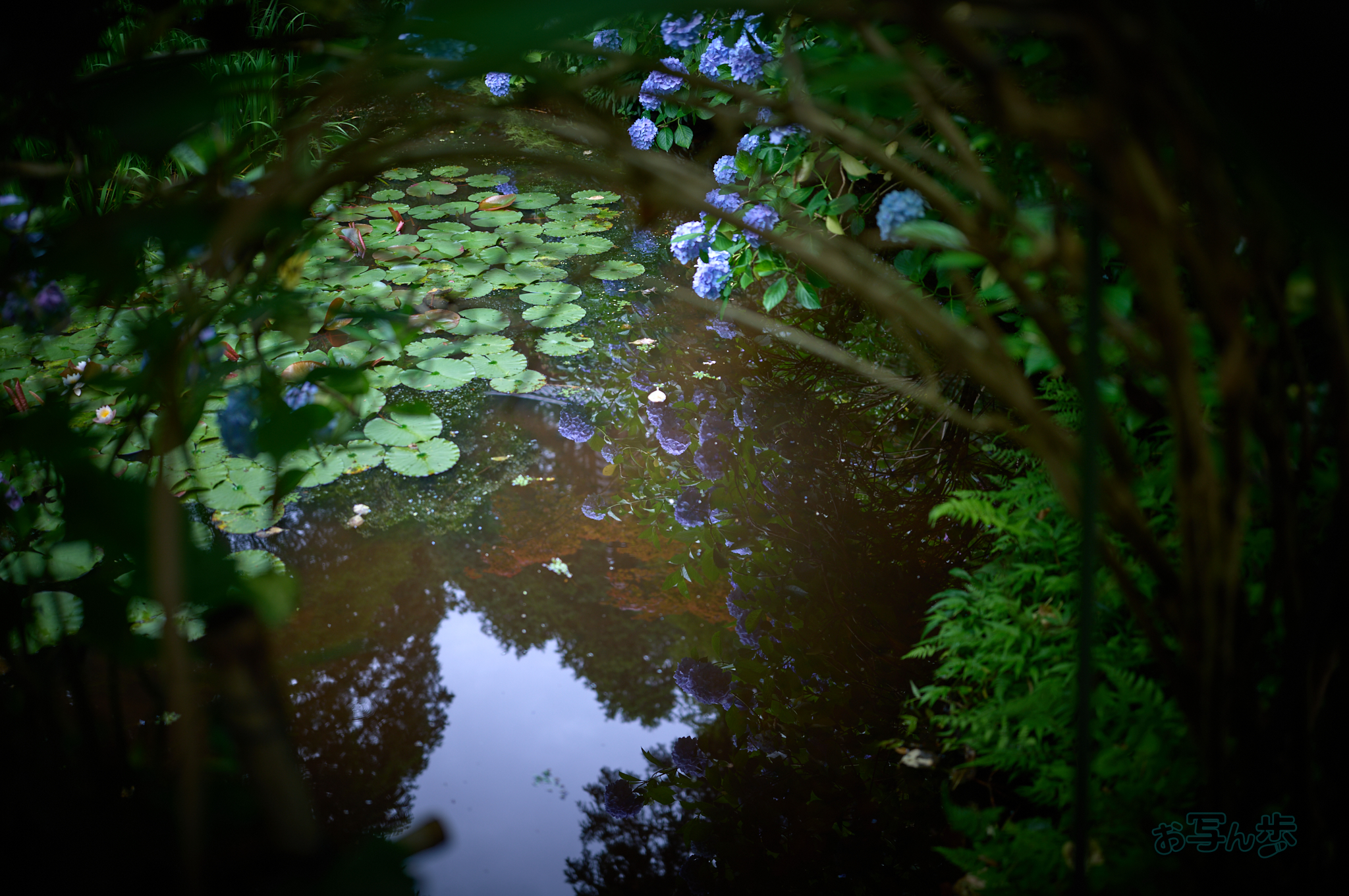 https://www.yaotomi.co.jp/blog/walk/SDIM8699co%2C35%20mm%2CF1.2%2Ciso100%2CSIGMA%20fp%20L.jpg