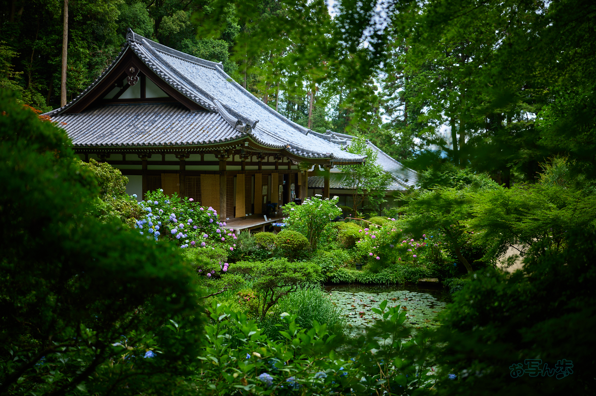 https://www.yaotomi.co.jp/blog/walk/SDIM8755co%2C35%20mm%2CF1.2%2Ciso100%2CSIGMA%20fp%20L.jpg