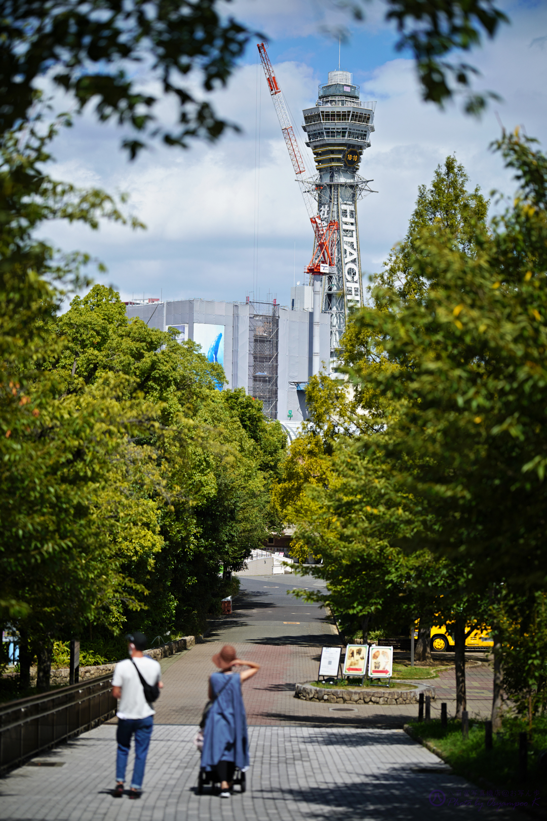 https://www.yaotomi.co.jp/blog/walk/SDIM9047%2C20200826.jpg