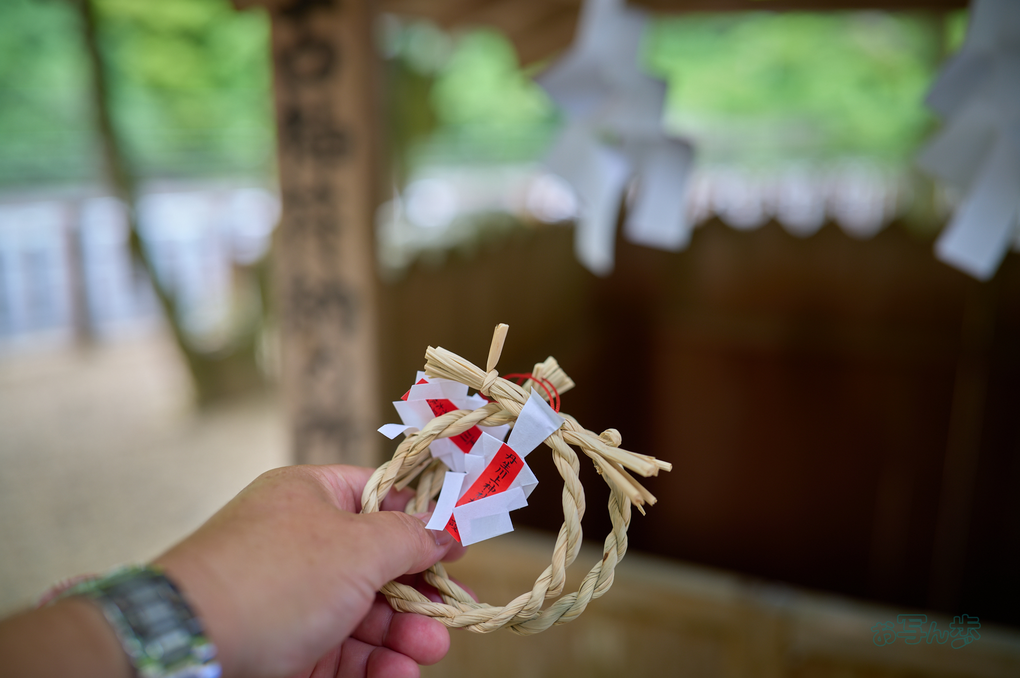 https://www.yaotomi.co.jp/blog/walk/SDIM9089co%2C35%20mm%2CF1.8%2Ciso100%2CSIGMA%20fp%20L.jpg