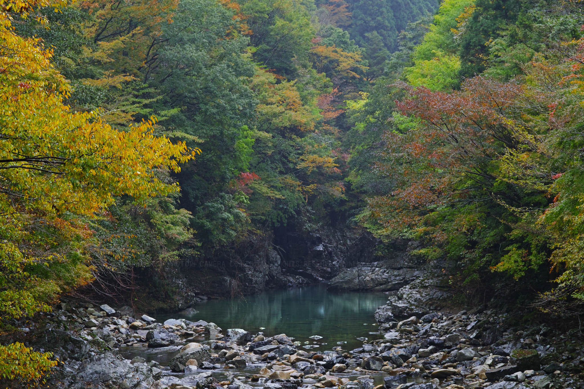 https://www.yaotomi.co.jp/blog/walk/SDQH0846_74%20mm%28F6.3%29iso100_2018yaotomi.jpg