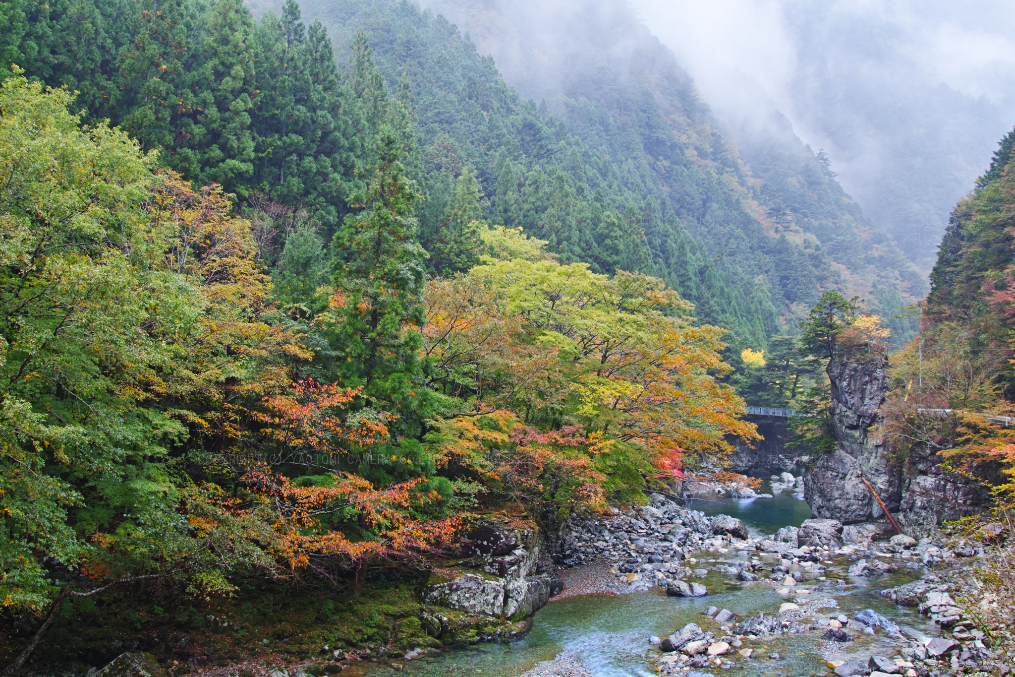 https://www.yaotomi.co.jp/blog/walk/SDQH0862_24%20mm%28F9%29iso100_2018yaotomi%201.jpg