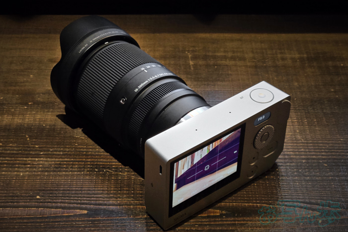Sigma BF with 16-300mm F3.5-6.7 DC OS  Contemporary_004.jpg