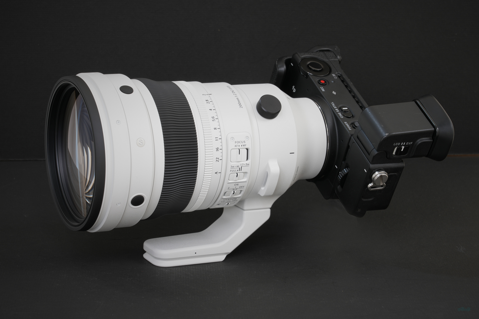 https://www.yaotomi.co.jp/blog/walk/Sigma200mmF2DGOSSports_001.jpg