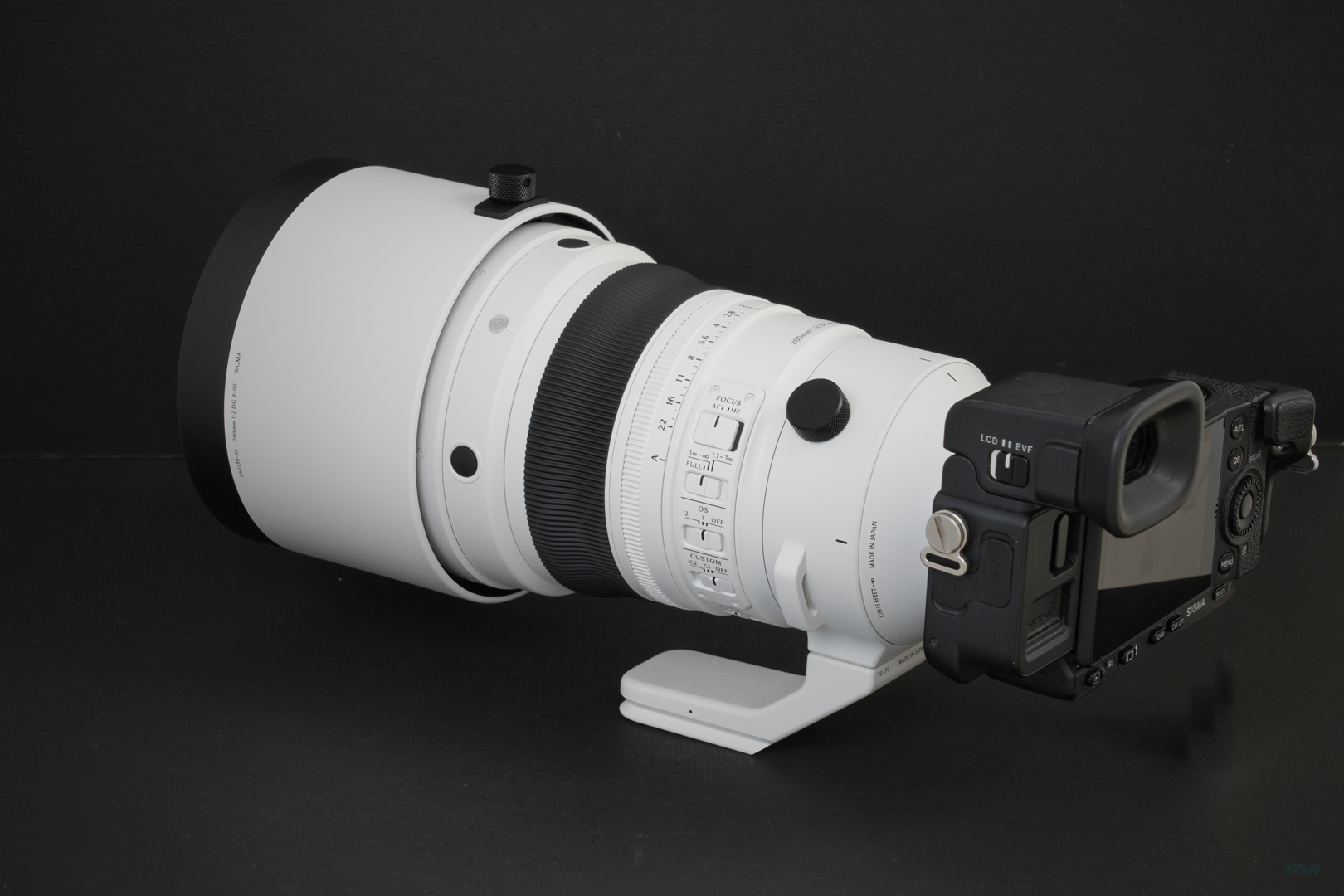 https://www.yaotomi.co.jp/blog/walk/Sigma200mmF2DGOSSports_006.jpg