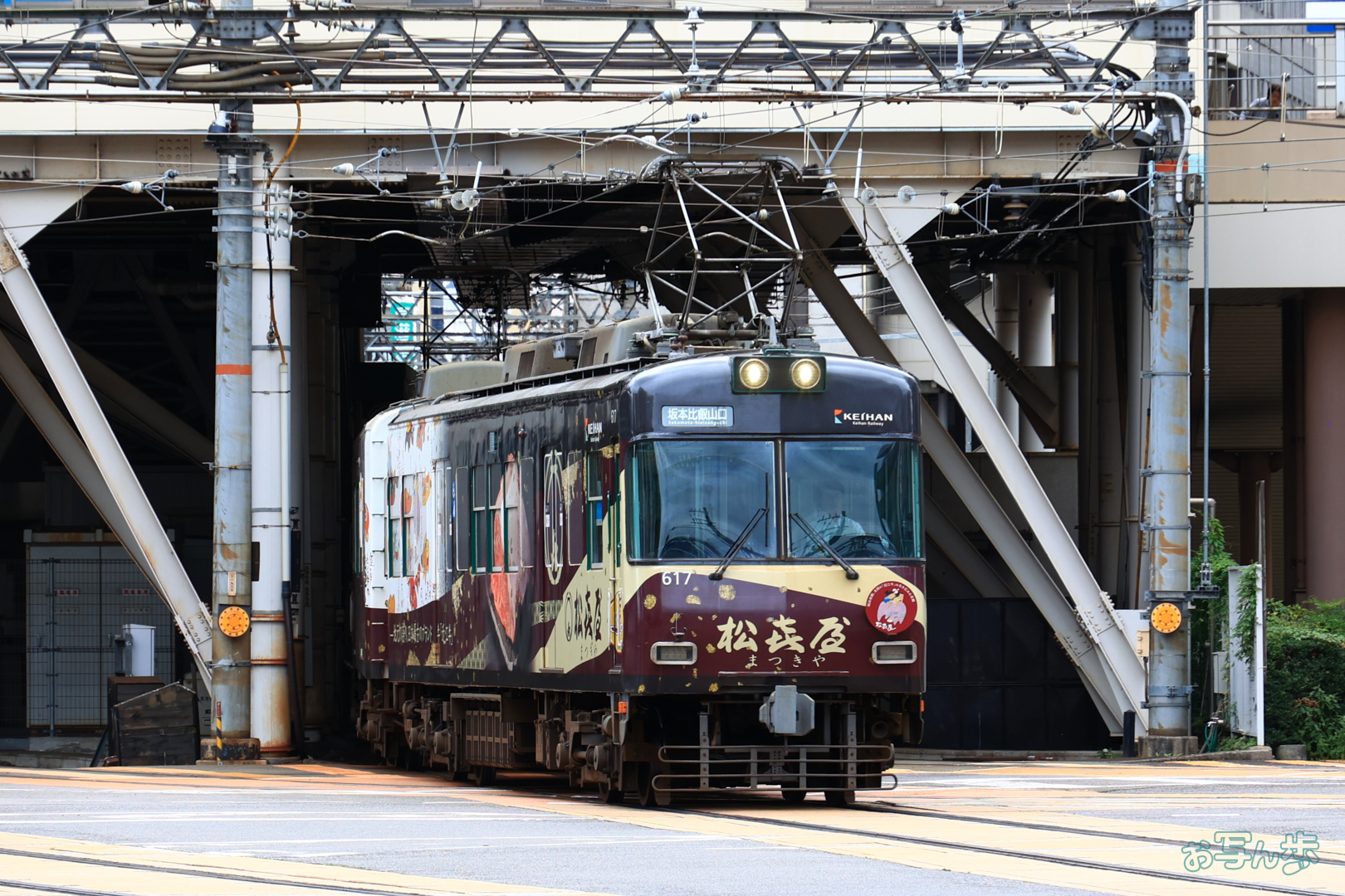 https://www.yaotomi.co.jp/blog/walk/T8263%2C135%20mm%2CF8%2C1-250%20%E7%A7%92%2Ciso500%28JPEG%29.jpg