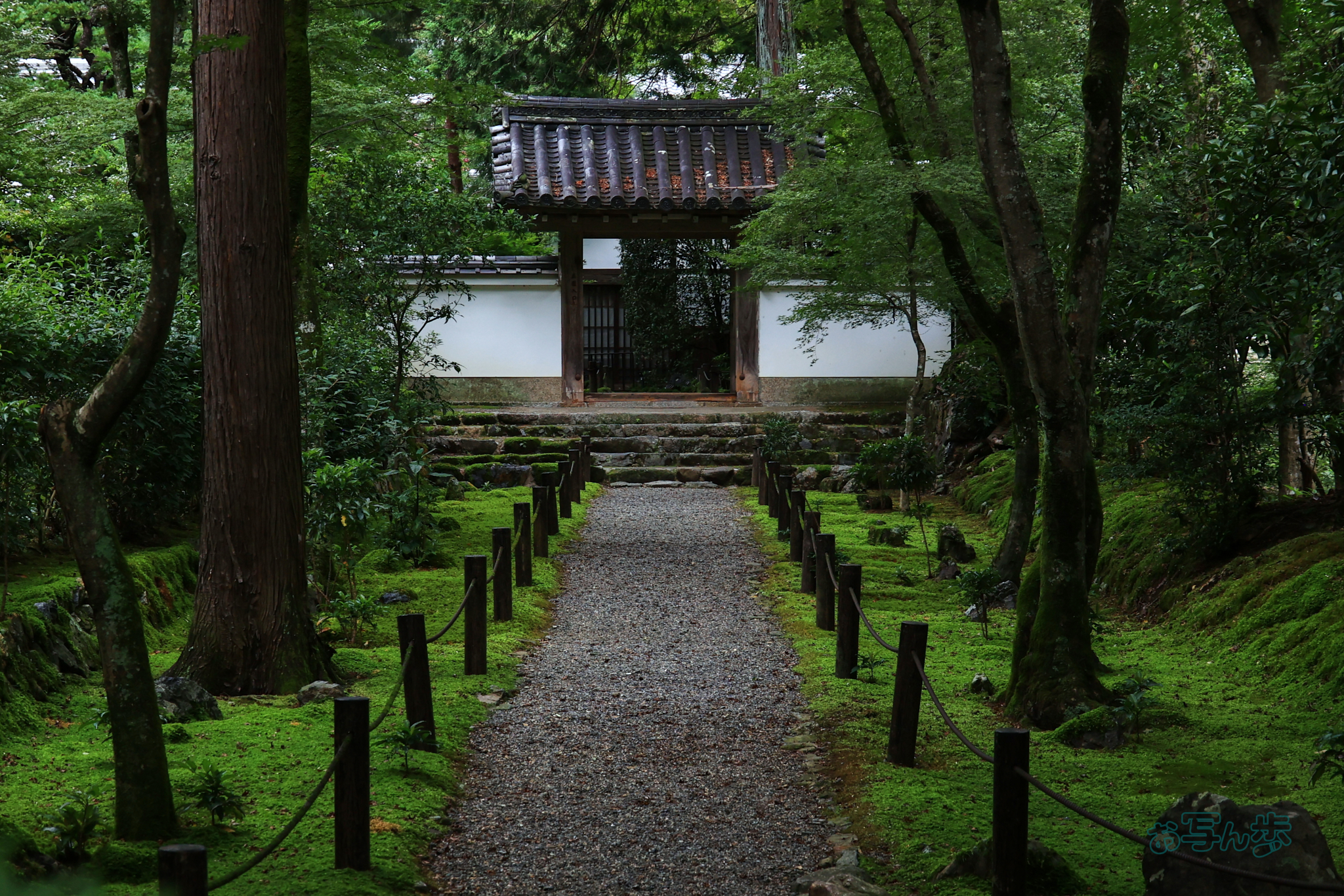 https://www.yaotomi.co.jp/blog/walk/T8491co%2C49%20mm%2CF8%2Ciso800%28JPEG%29.jpg
