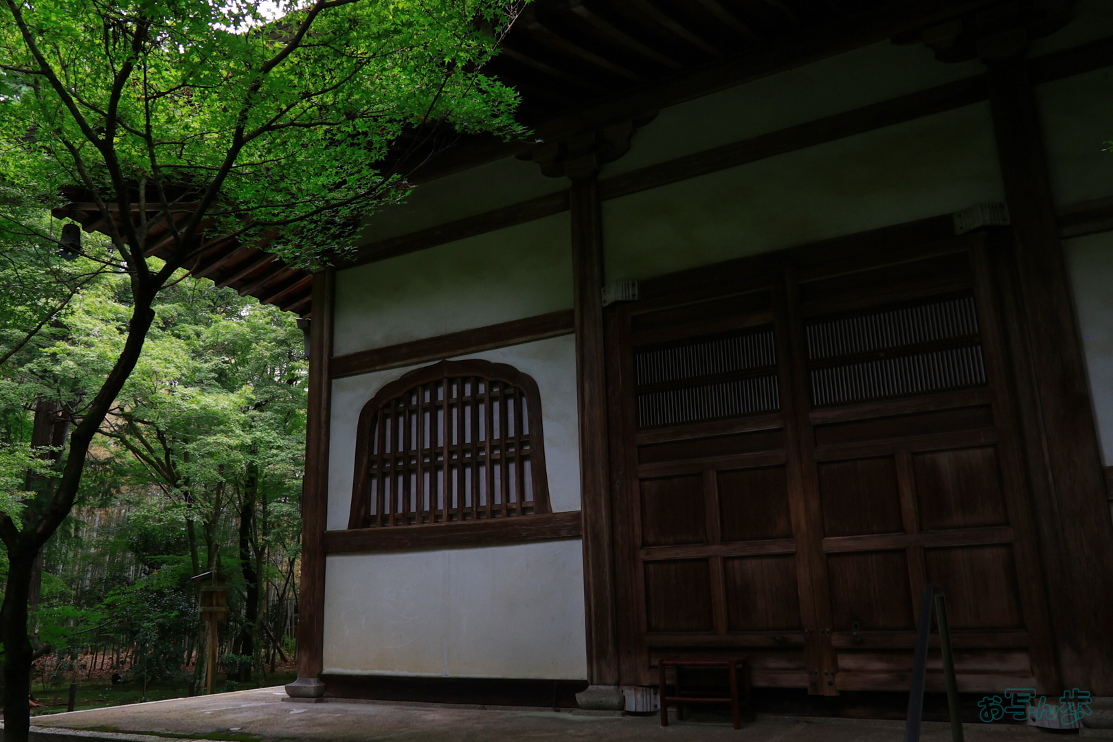 https://www.yaotomi.co.jp/blog/walk/T8498%2C18%20mm%2CF8%2C1-400%20%E7%A7%92%2Ciso800%28JPEG%29.jpg