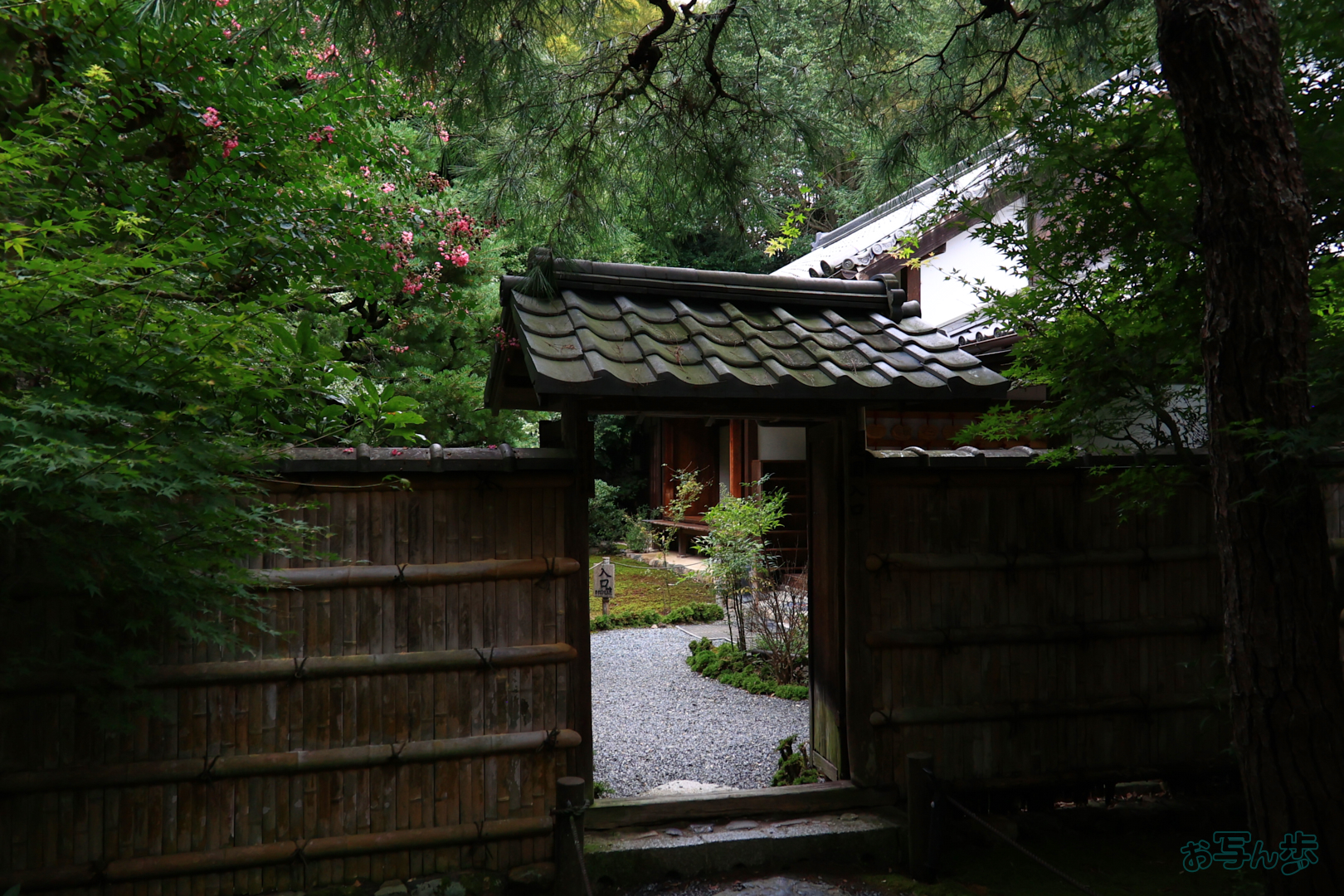 https://www.yaotomi.co.jp/blog/walk/T8582%2C18%20mm%2CF3.5%2C1-1600%20%E7%A7%92%2Ciso800%28JPEG%29.jpg