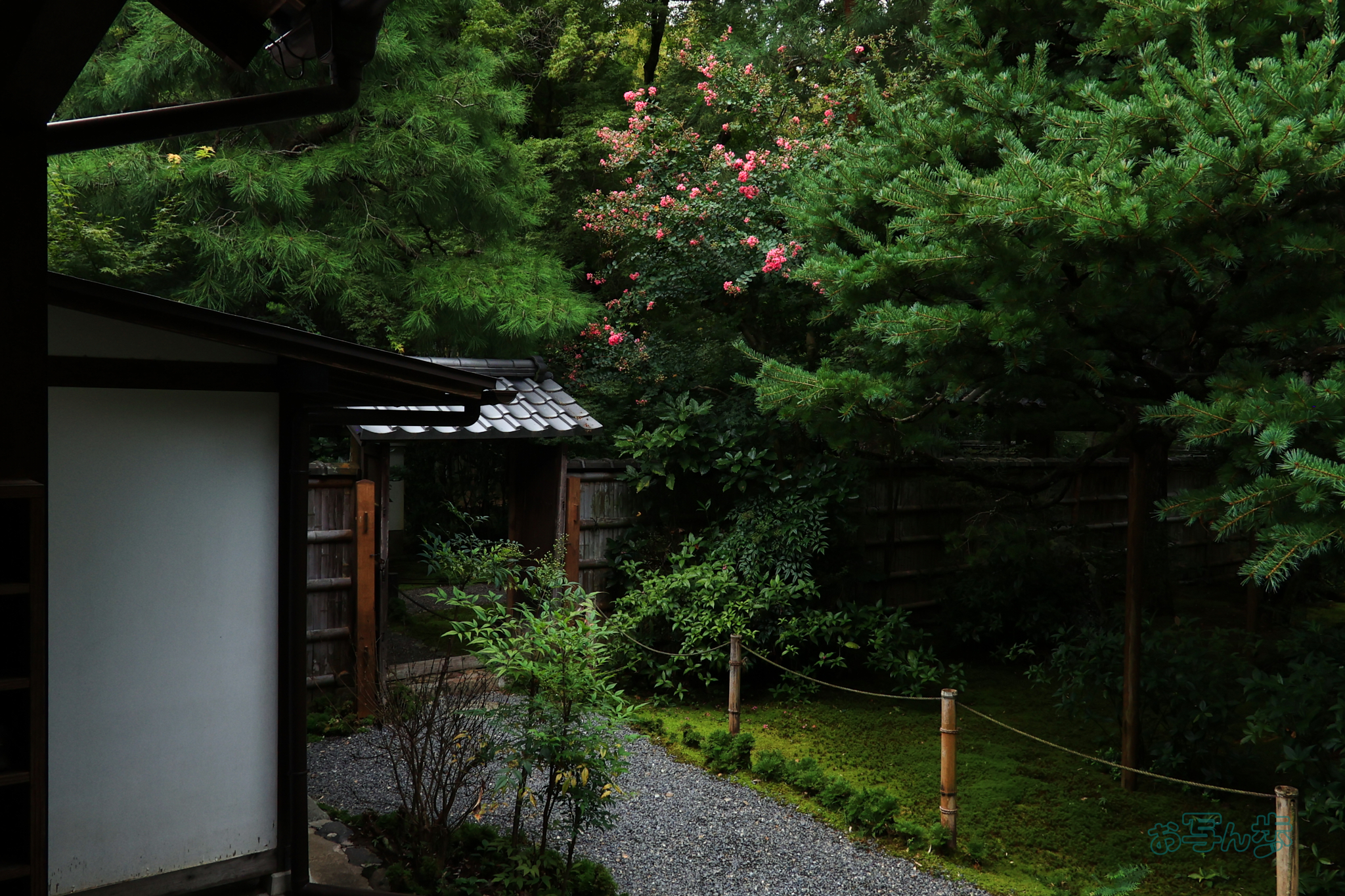 https://www.yaotomi.co.jp/blog/walk/T8643co%2C18%20mm%2CF10%2Ciso800%28JPEG%29.jpg