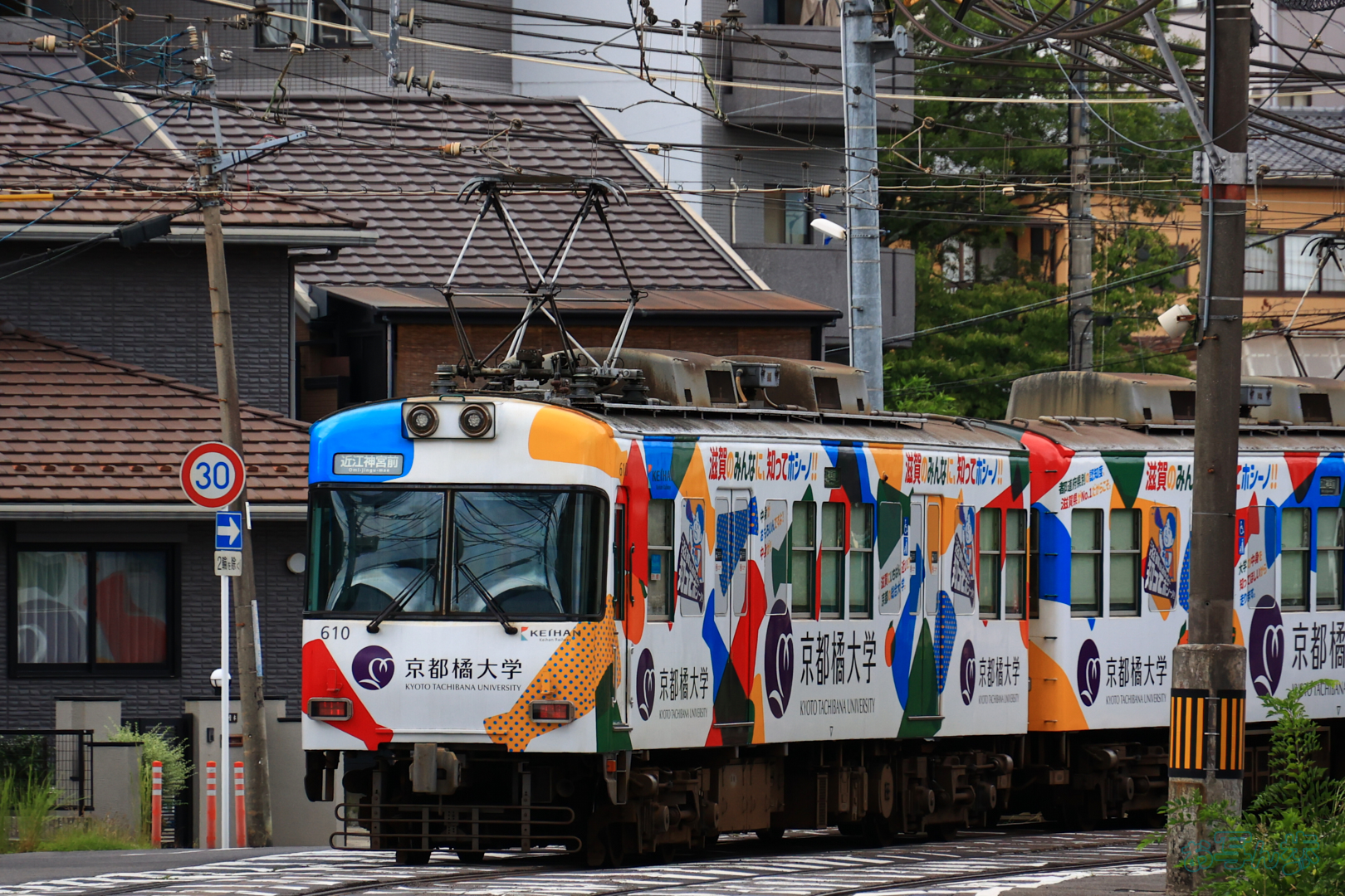 https://www.yaotomi.co.jp/blog/walk/TANA8380%2C232%20mm%2CF8%2C1-640%20%E7%A7%92%2Ciso800%28JPEG%29.jpg